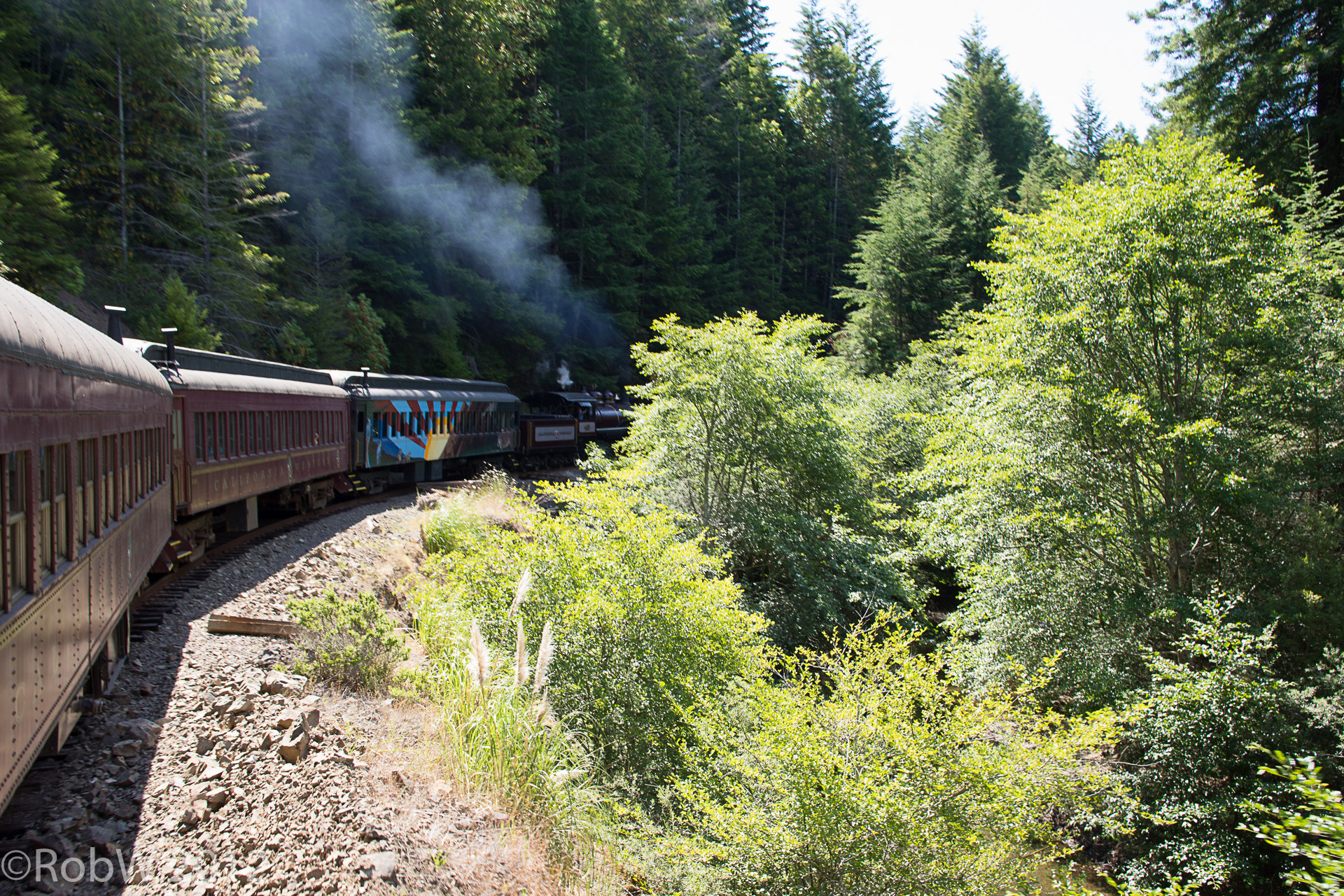 Sony Alpha NEX-7 + Sony Sonnar T* E 24mm F1.8 ZA sample photo. Skunk train photography