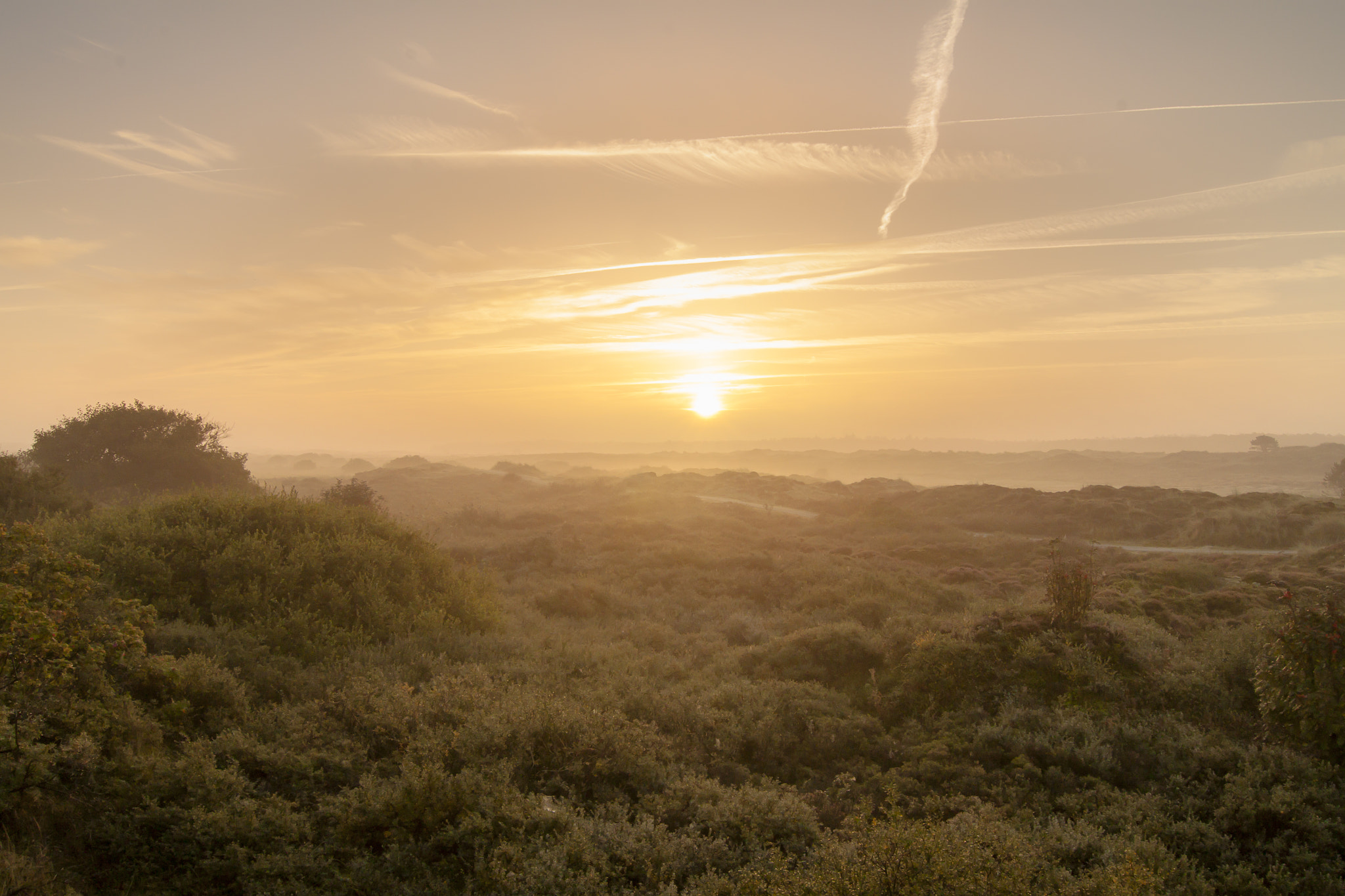 Tokina AT-X Pro 12-24mm F4 (IF) DX sample photo. Misty morning photography
