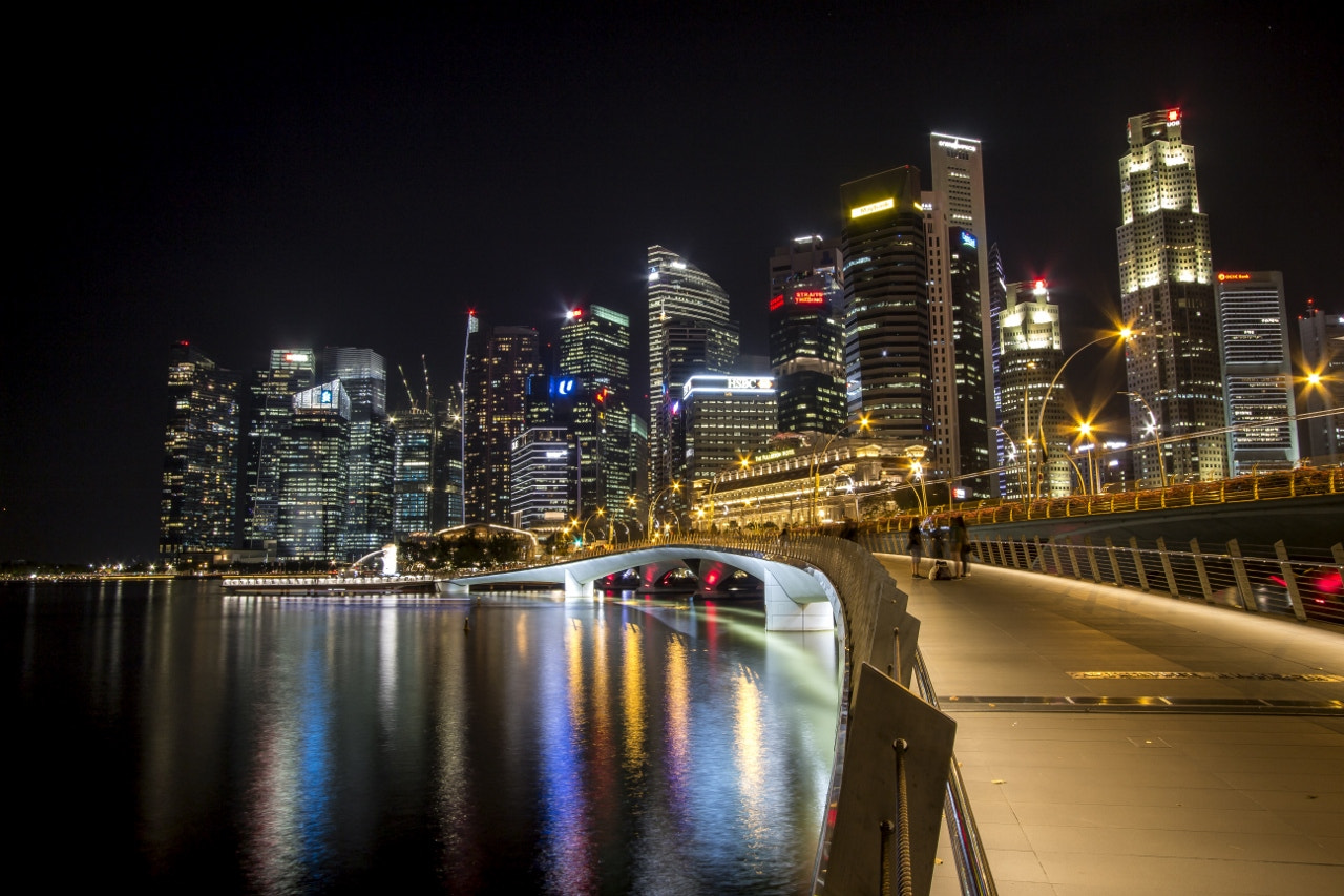 Canon EOS 650D (EOS Rebel T4i / EOS Kiss X6i) sample photo. Merlion walk photography