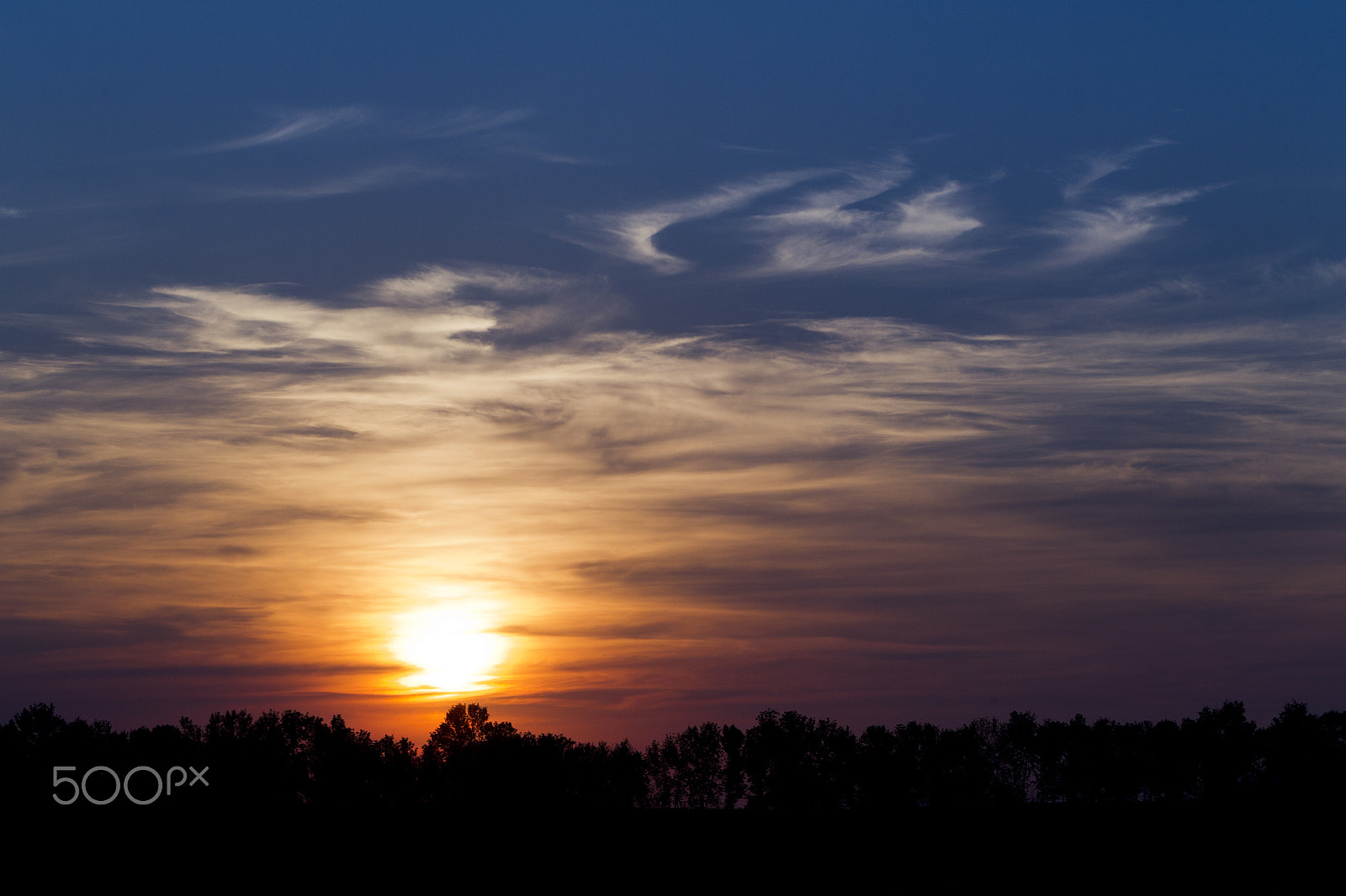Canon EOS-1D Mark IV sample photo. Silhouettes of trees against the backdrop of the sunset sky photography