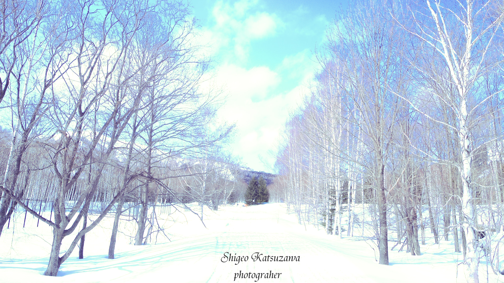 Pentax 02 Standard Zoom sample photo. Snow tree hokkaido photography