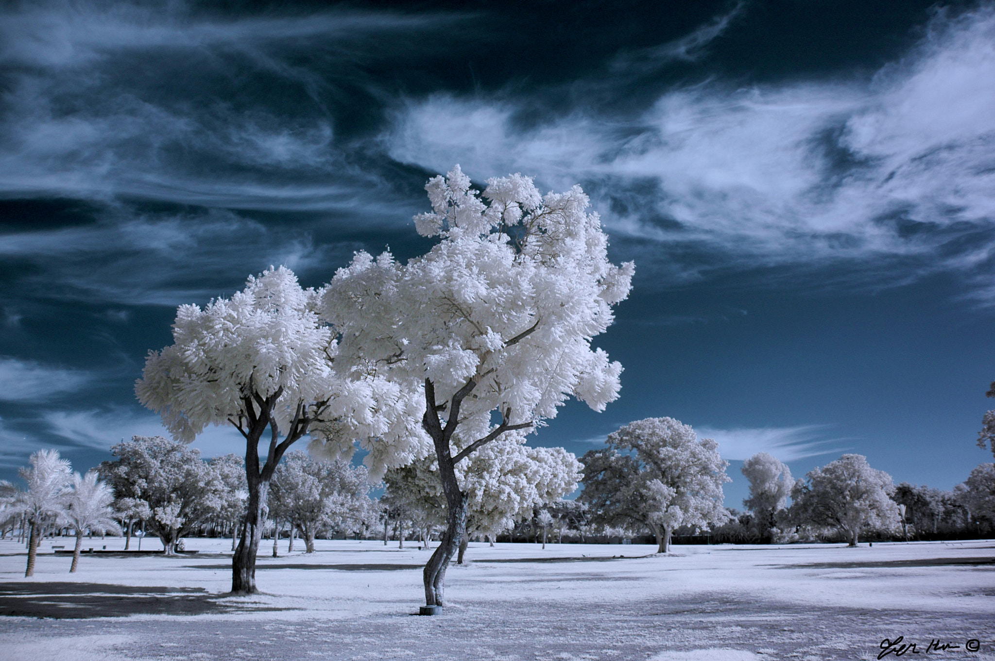 Nikon D70 sample photo. Together we are strong photography