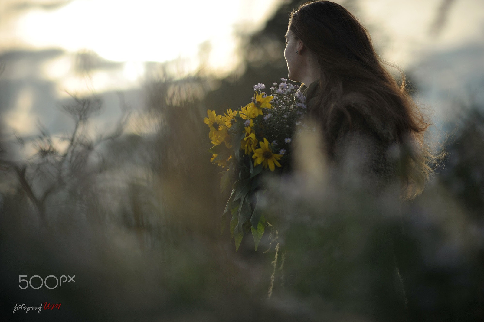 Nikon D700 + AF DC-Nikkor 135mm f/2 sample photo. The dream at the end of the morning photography