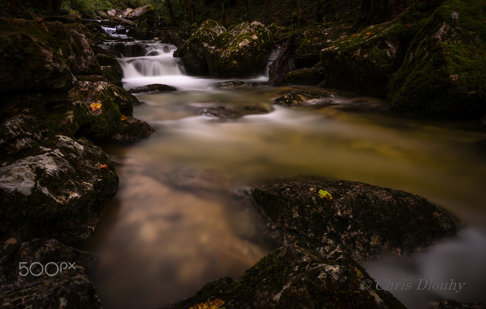 Nikon AF-S Nikkor 14-24mm F2.8G ED sample photo. Mystic creek photography