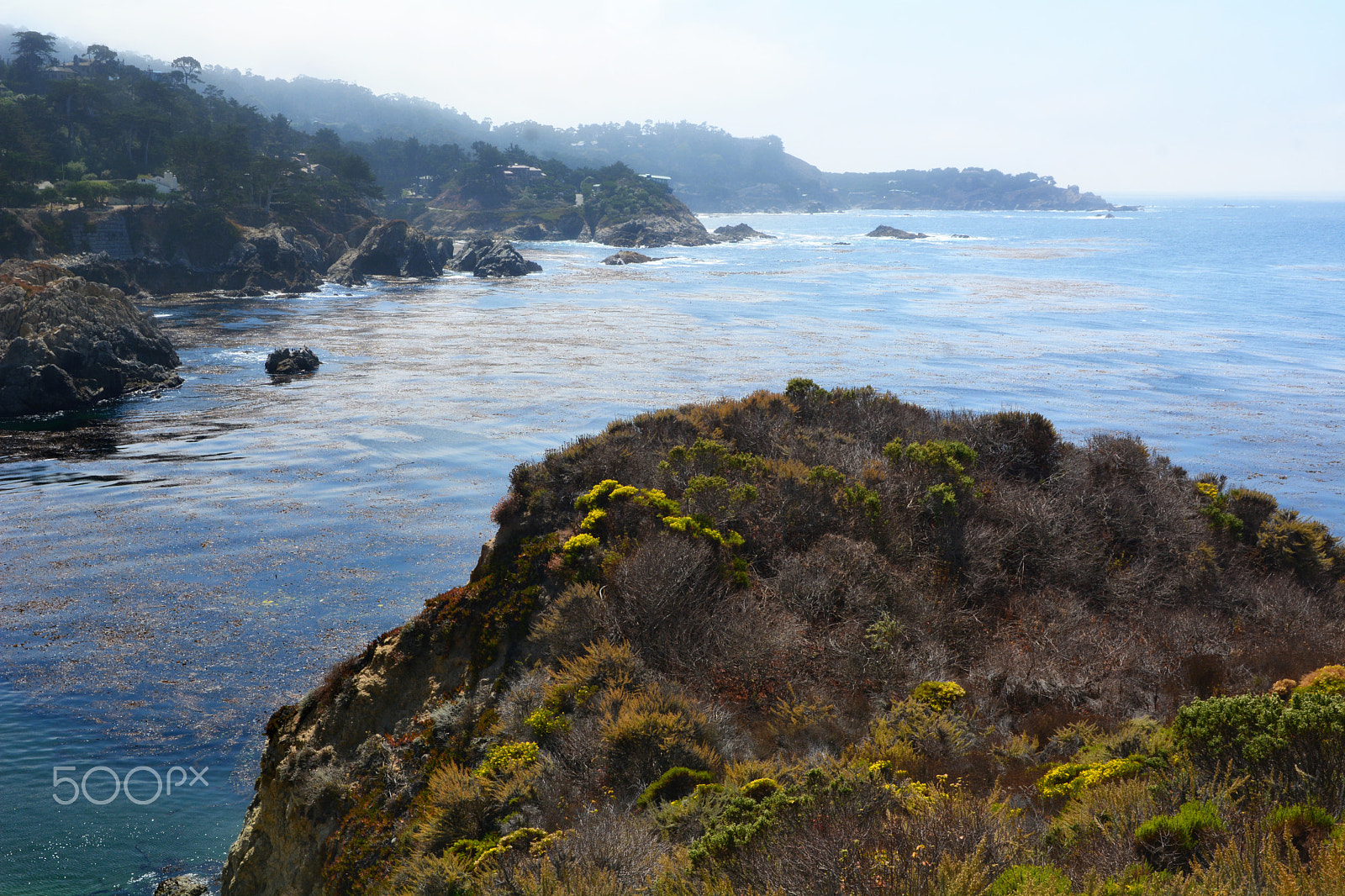 Nikon D7100 + Sigma 18-50mm F2.8 EX DC sample photo. Point lobos state reserve photography