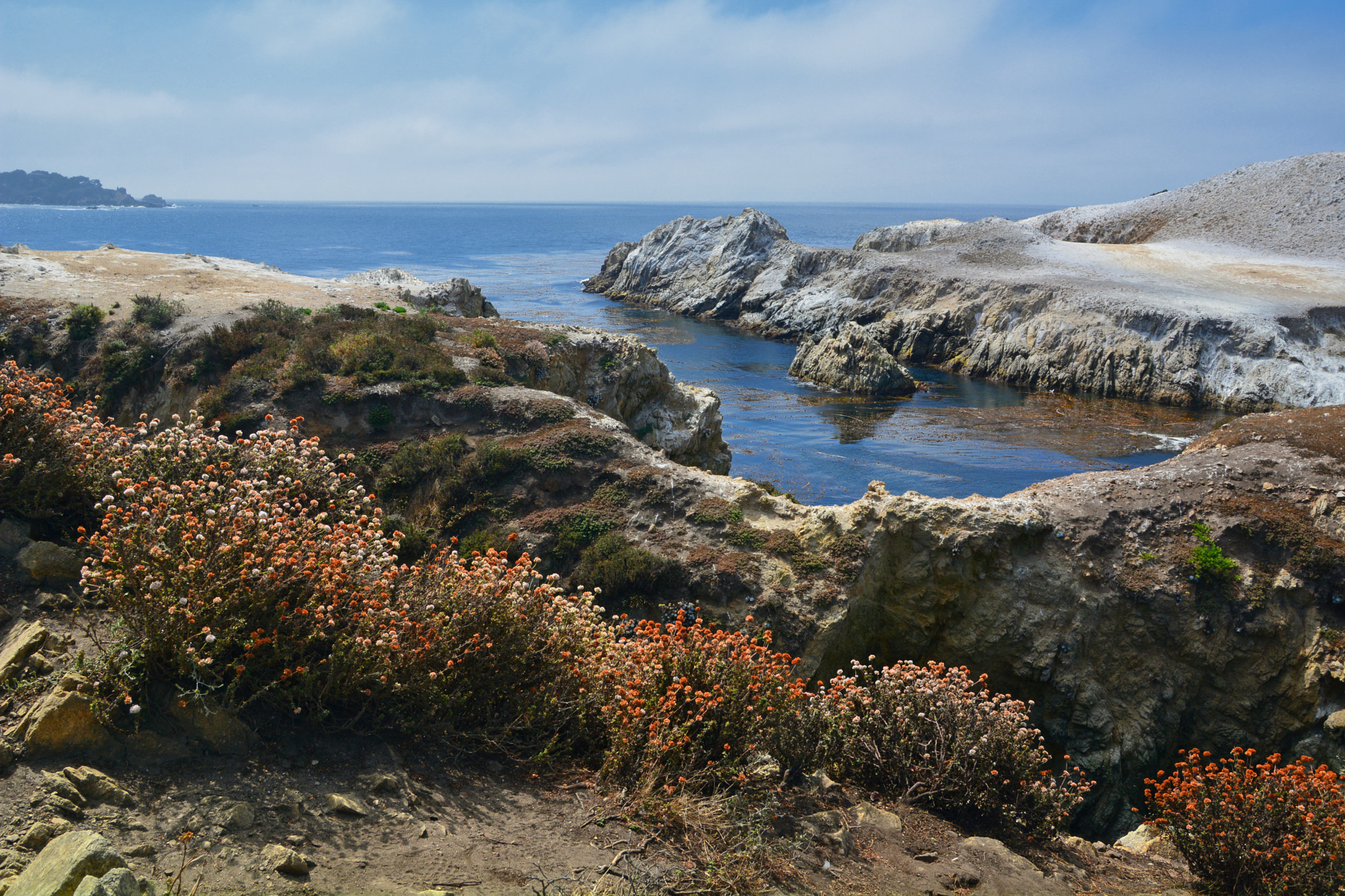 Nikon D7100 + Sigma 18-50mm F2.8 EX DC sample photo. Point lobos state reserve photography