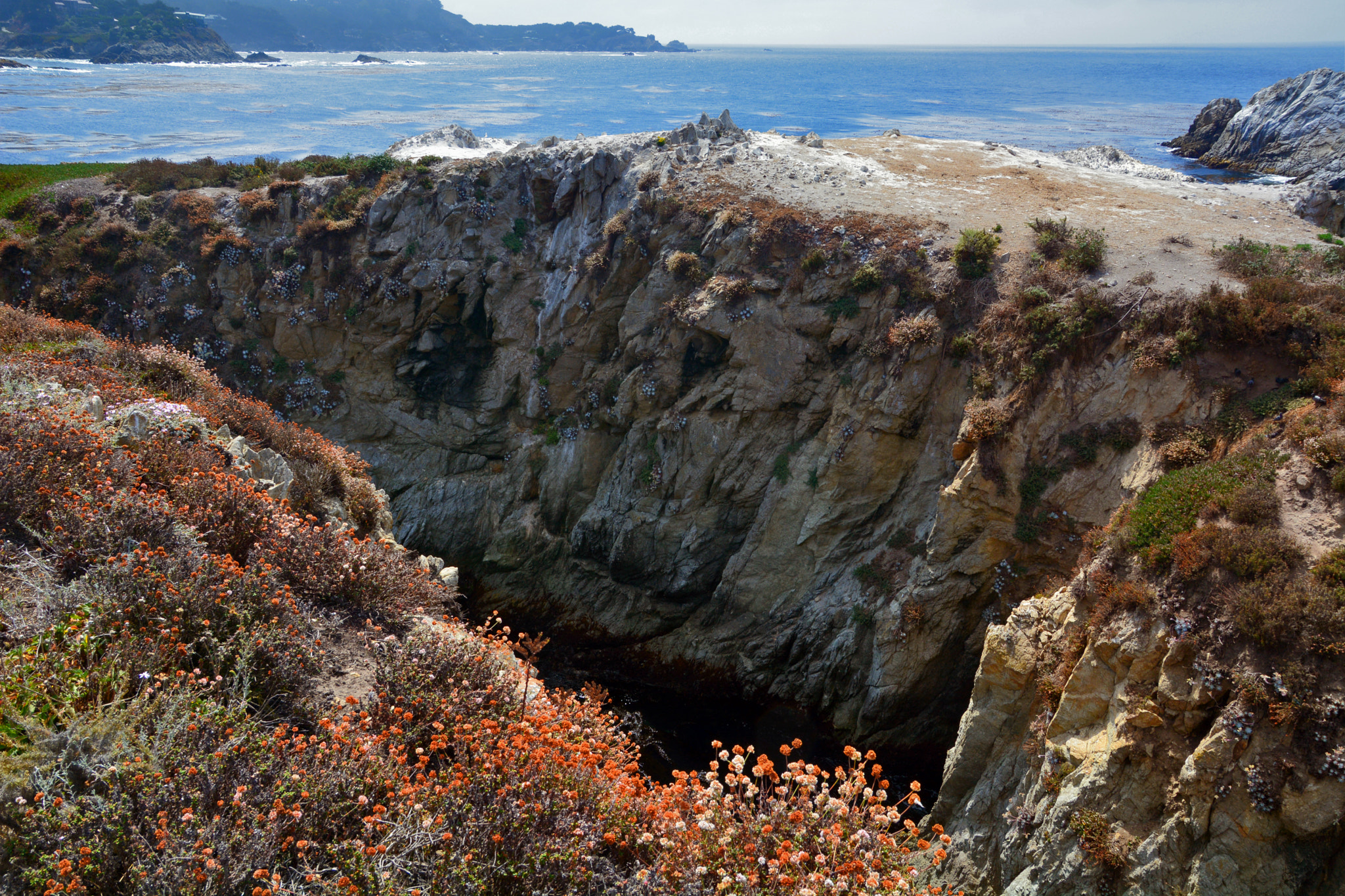 Nikon D7100 + Sigma 18-50mm F2.8 EX DC sample photo. Point lobos state reserve photography