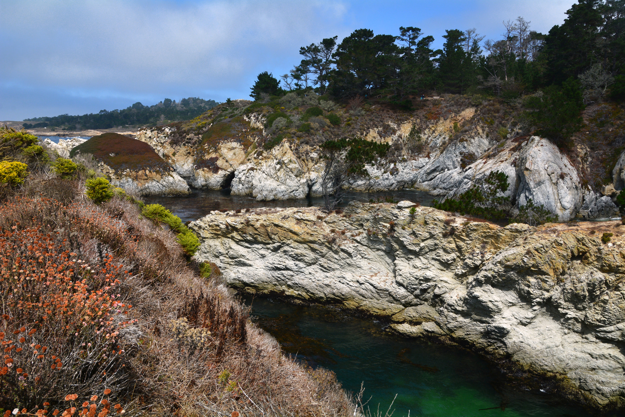 Nikon D7100 + Sigma 18-50mm F2.8 EX DC sample photo. Point lobos state reserve photography