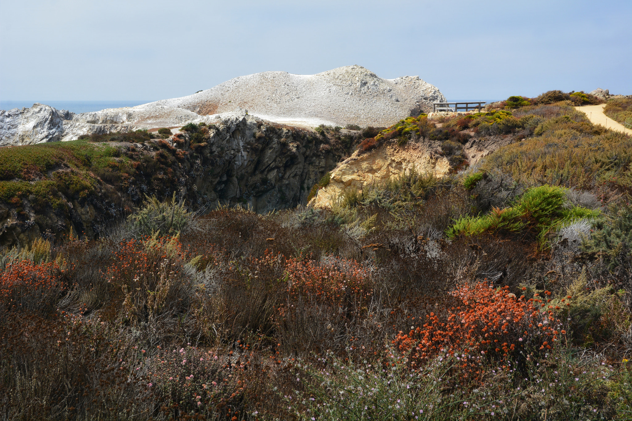 Nikon D7100 + Sigma 18-50mm F2.8 EX DC sample photo. Point lobos state reserve photography