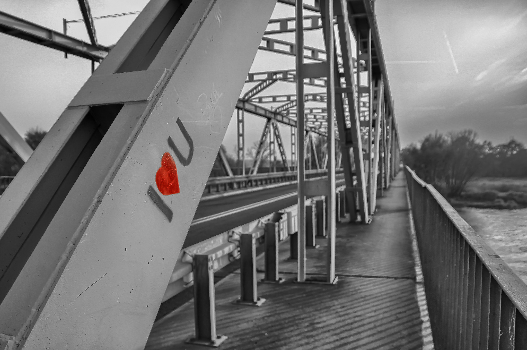17.0 - 70.0 mm sample photo. Red heart photography