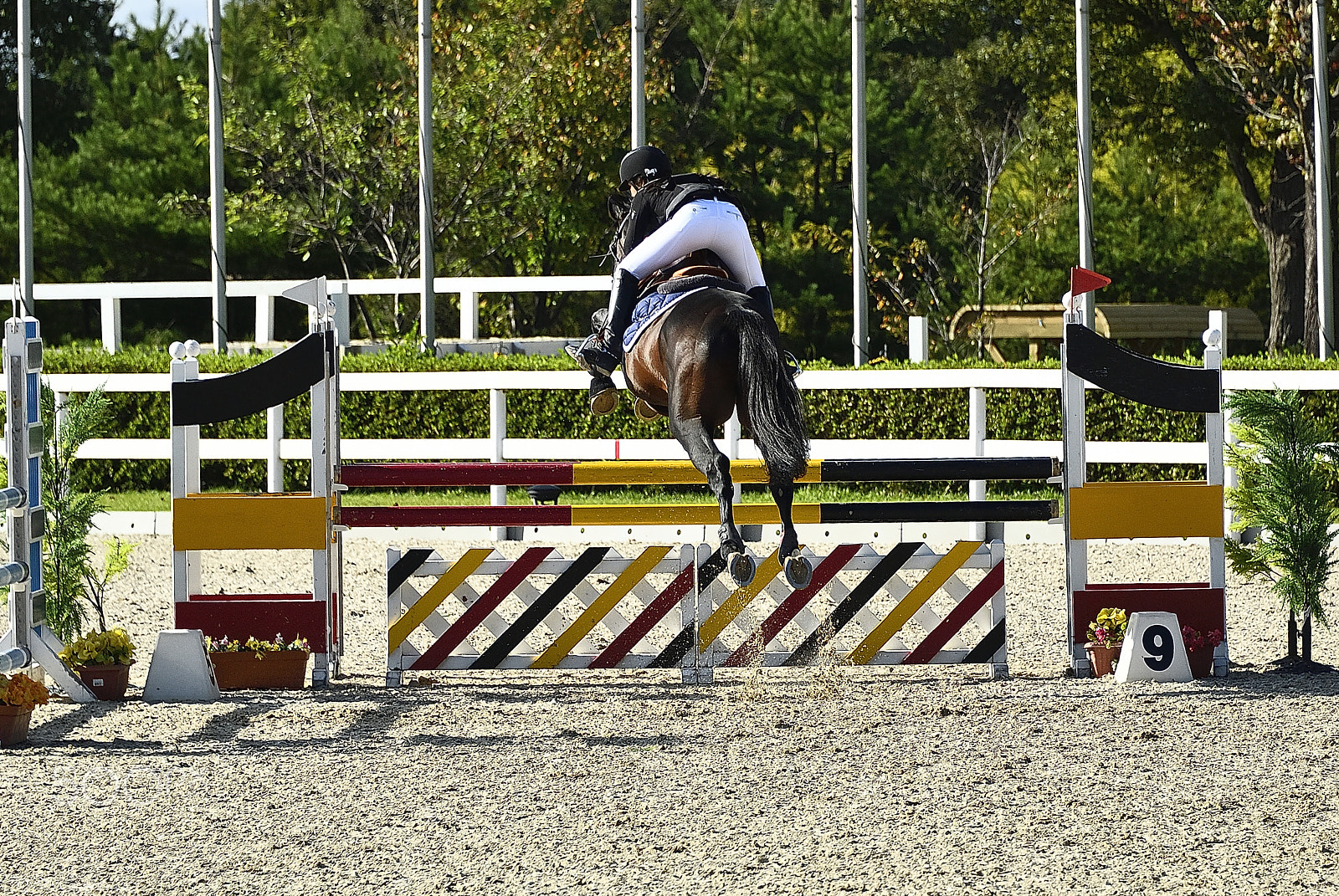 Nikon D200 sample photo. Equestrian failure jumping competition rear photography