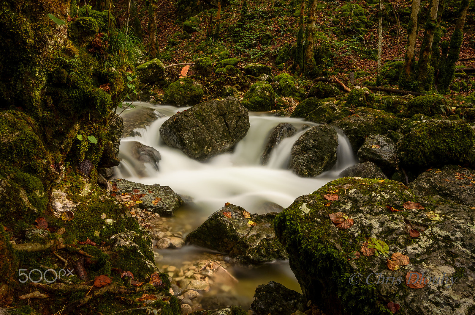 Nikon AF-S Nikkor 14-24mm F2.8G ED sample photo. Autumn creek photography