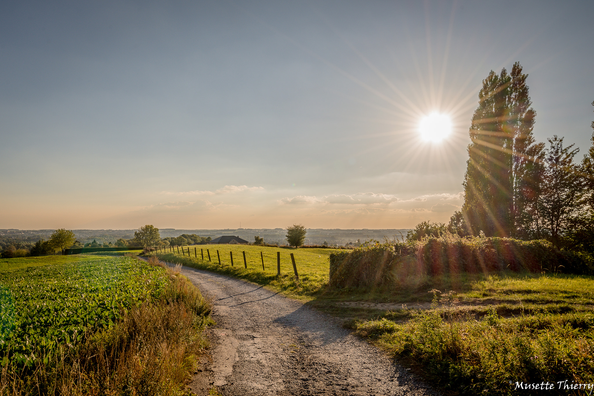 Nikon D600 sample photo. On the small roads photography
