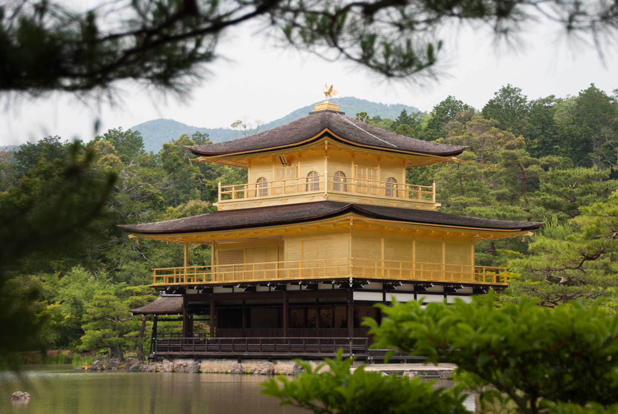 Nikon D60 sample photo. Golden temple in kyoto photography