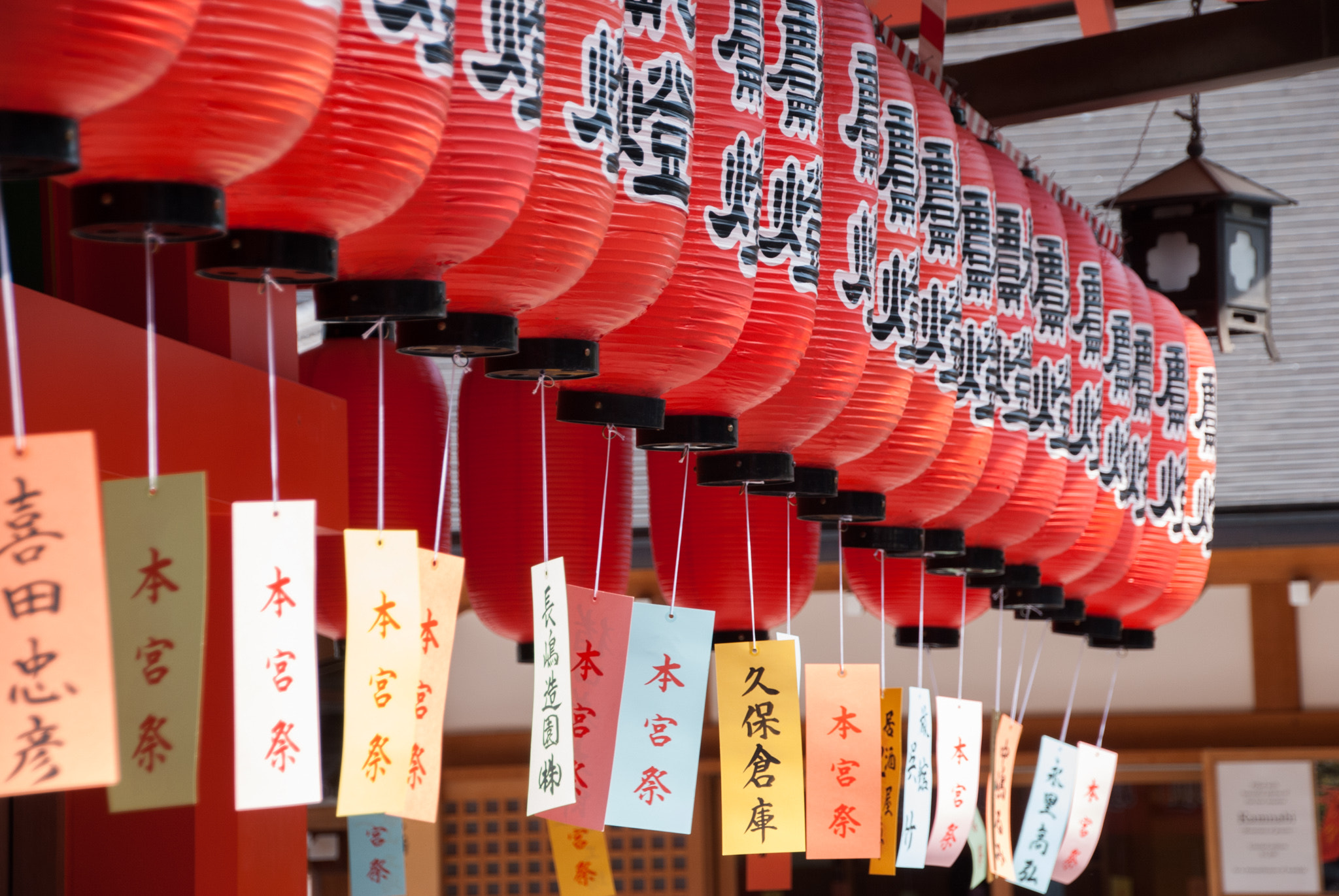 Nikon D60 sample photo. Japanese lanterns photography