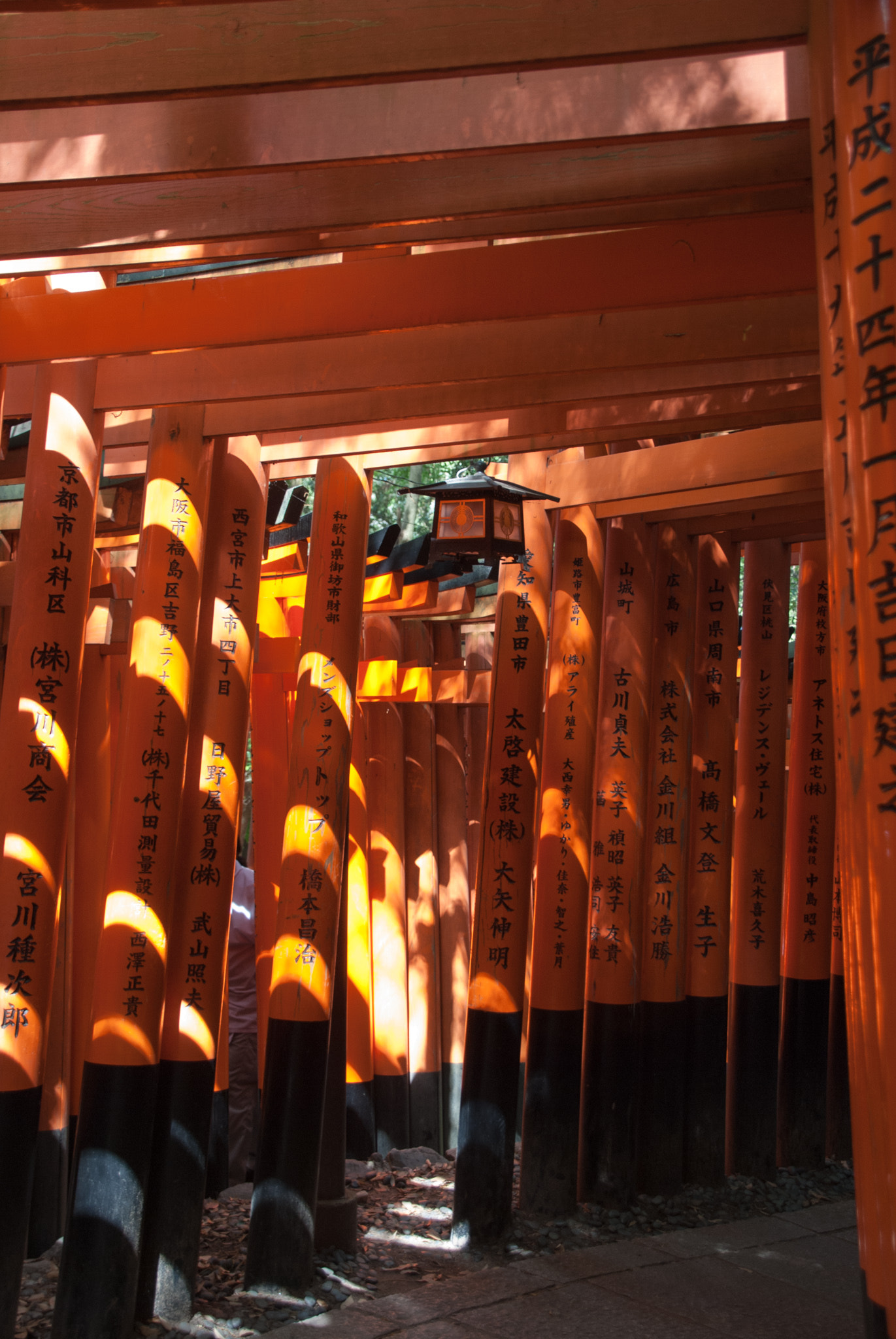 Nikon D60 sample photo. The world-famous toori gates at the fushimi inari shrine photography