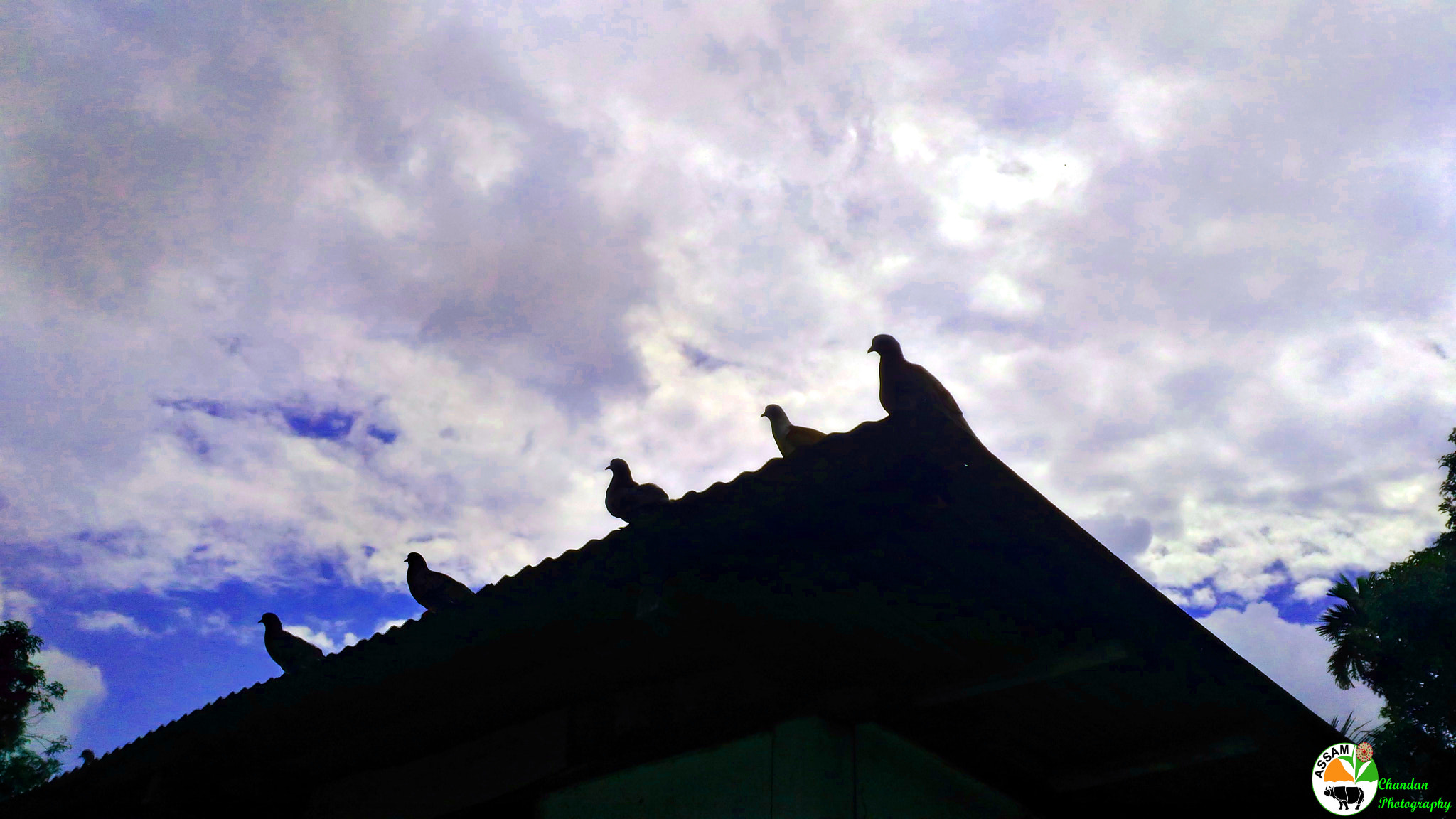 ASUS ZenFone Max (ZC550KL) sample photo