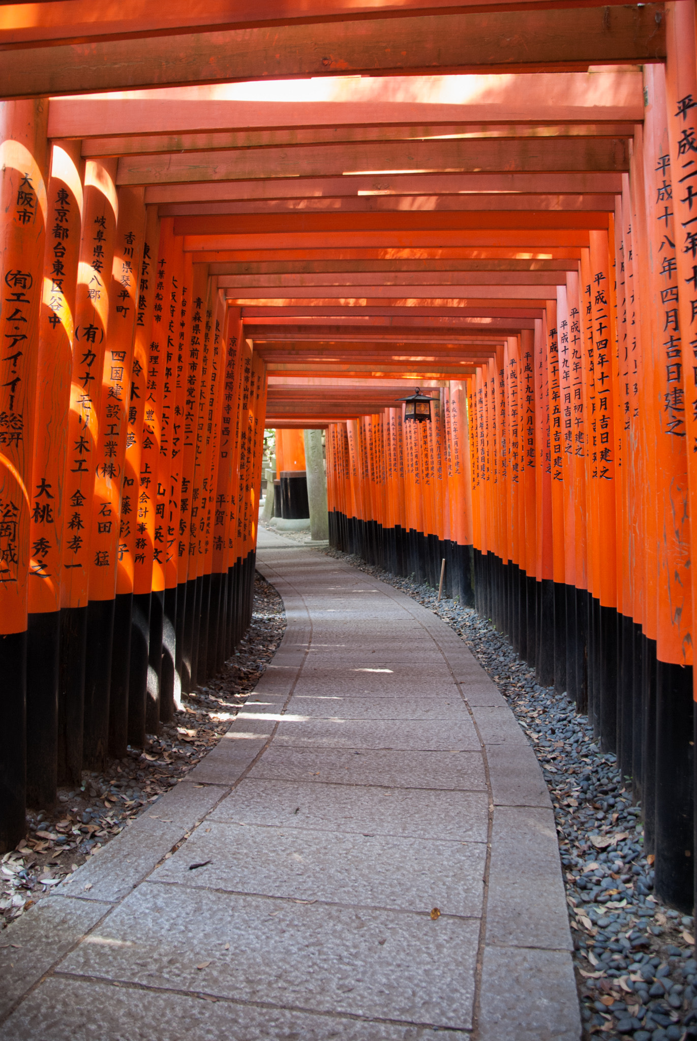 Nikon D60 sample photo. Never-ending toori gates photography