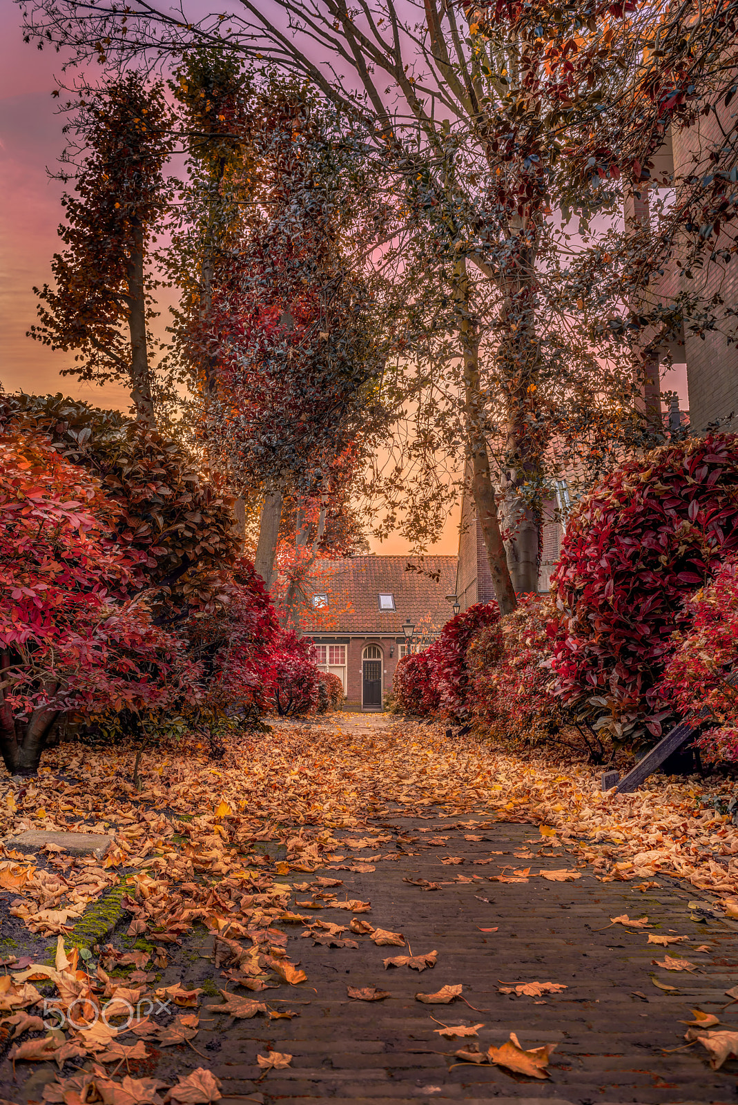 Nikon D600 + AF Nikkor 28mm f/2.8 sample photo. Autumn leaves photography