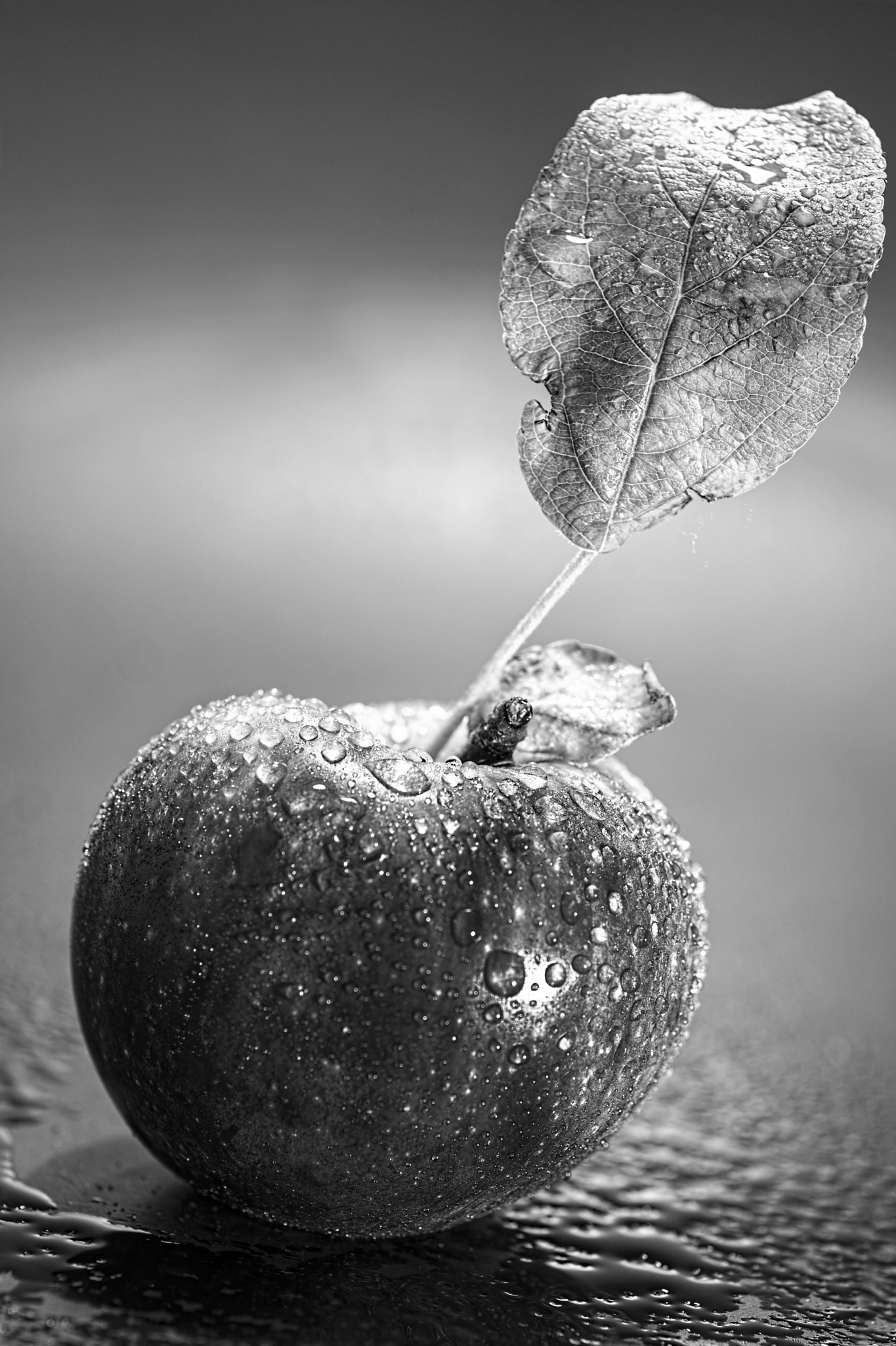 Nikon D810 + Tokina AT-X Pro 100mm F2.8 Macro sample photo. Apple in b&w photography