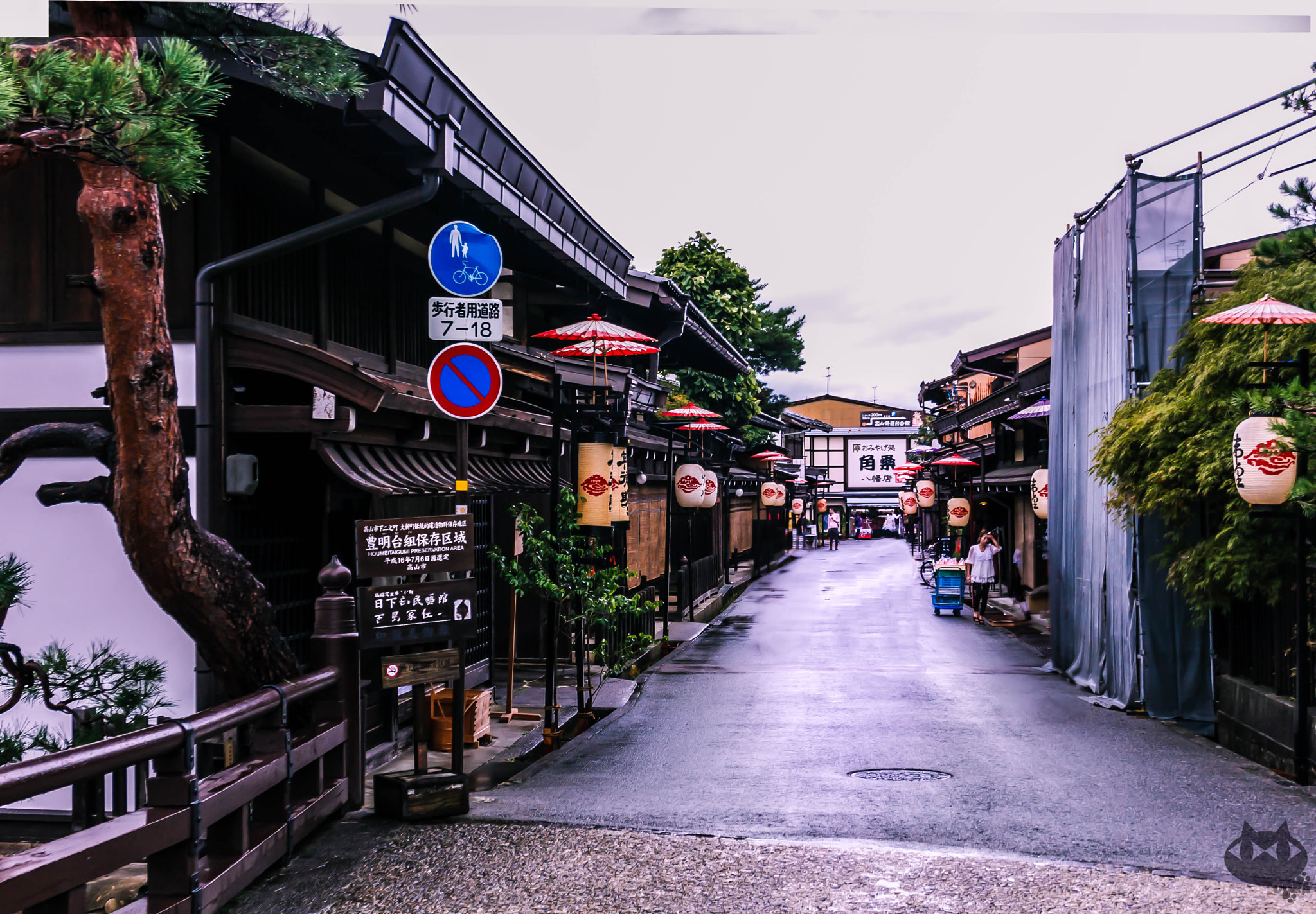 Canon EOS 40D sample photo. Gloomy photography