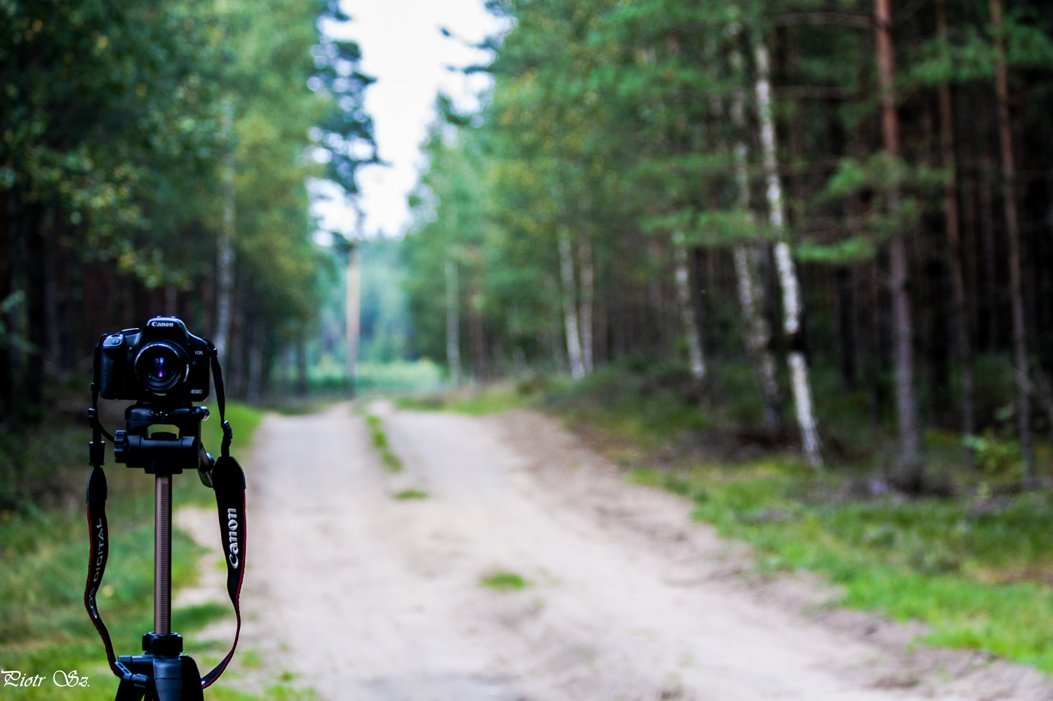 Canon EF 600mm F4L IS II USM sample photo. W trakcie prześwietlenia photography