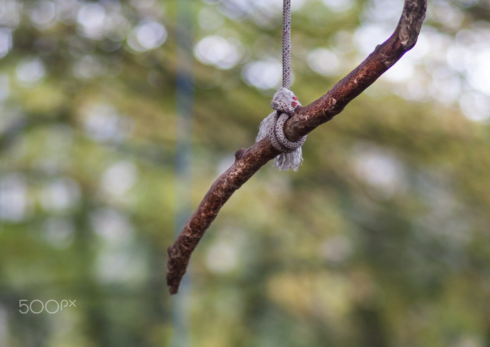 Canon EF 100mm F2.0 USM sample photo. Abandoned 2 photography