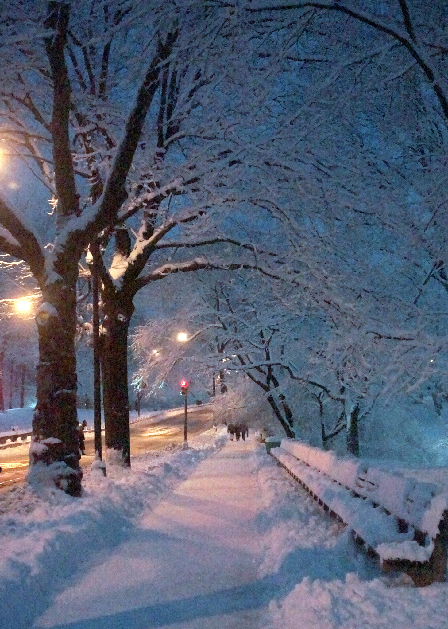 Sony SLT-A65 (SLT-A65V) + Minolta AF 28-105mm F3.5-4.5 xi sample photo. Central park at night photography