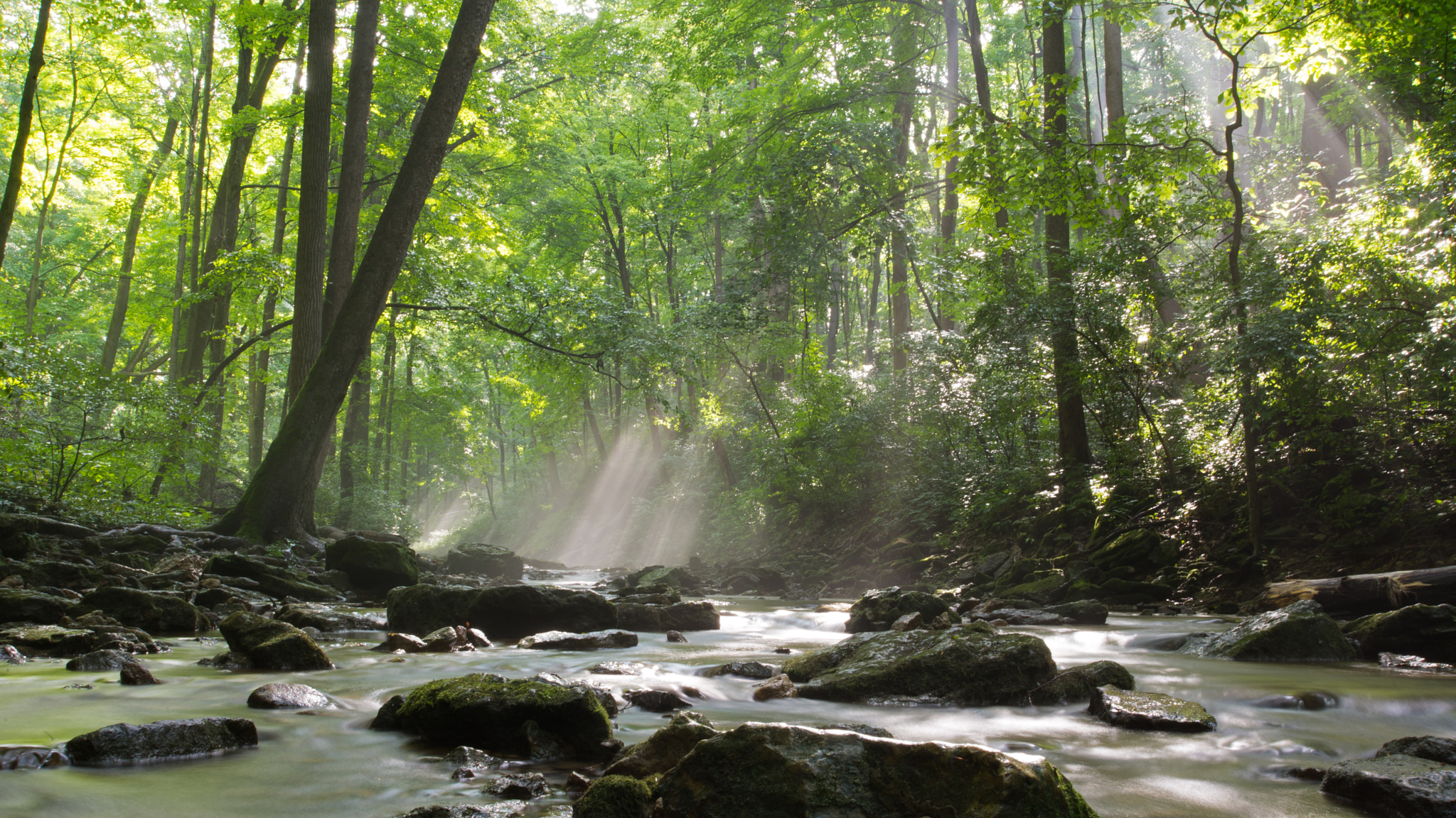 Nikon D600 sample photo. Mystic morning hour photography