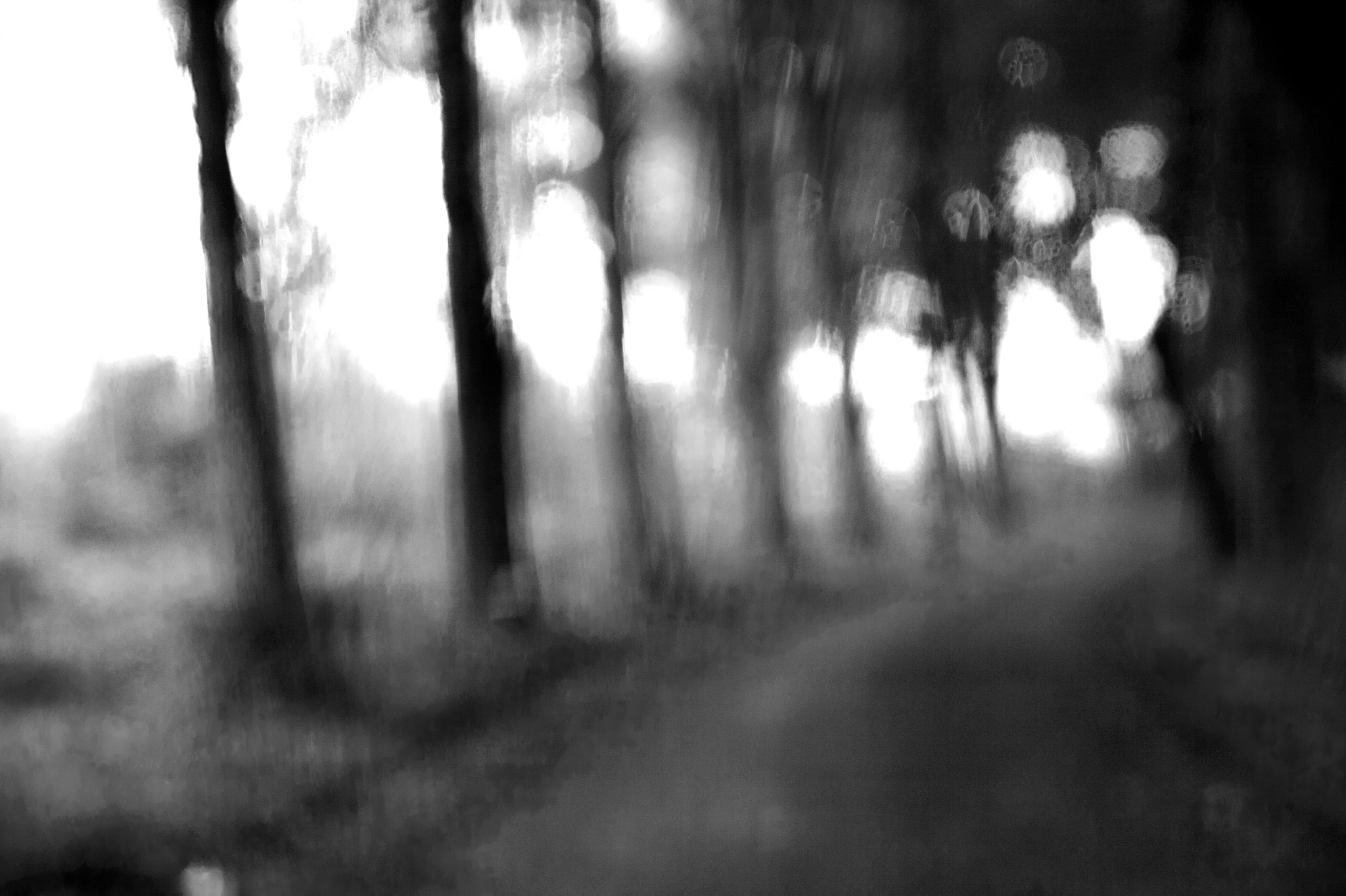 Canon EOS 400D (EOS Digital Rebel XTi / EOS Kiss Digital X) sample photo. Road to nowhere photography