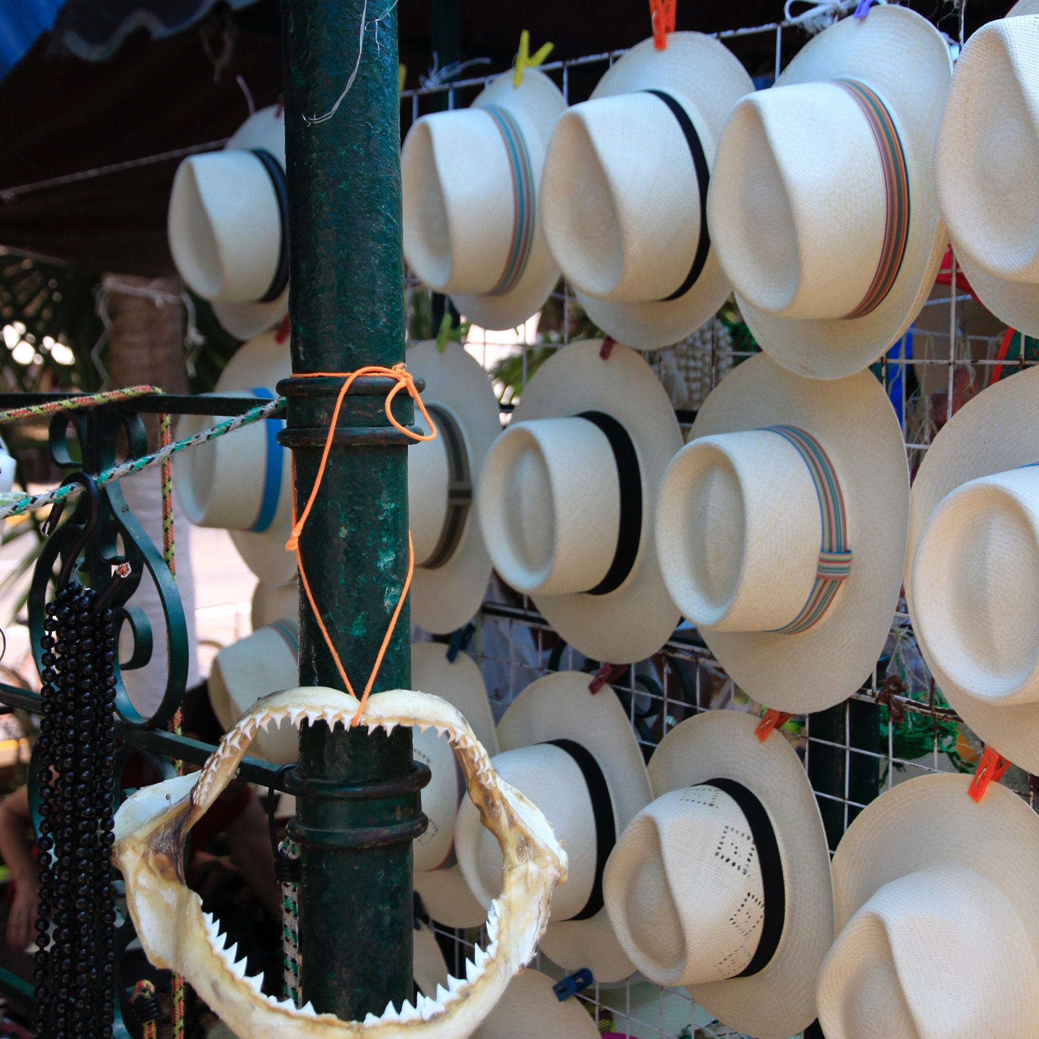 Canon EOS 50D sample photo