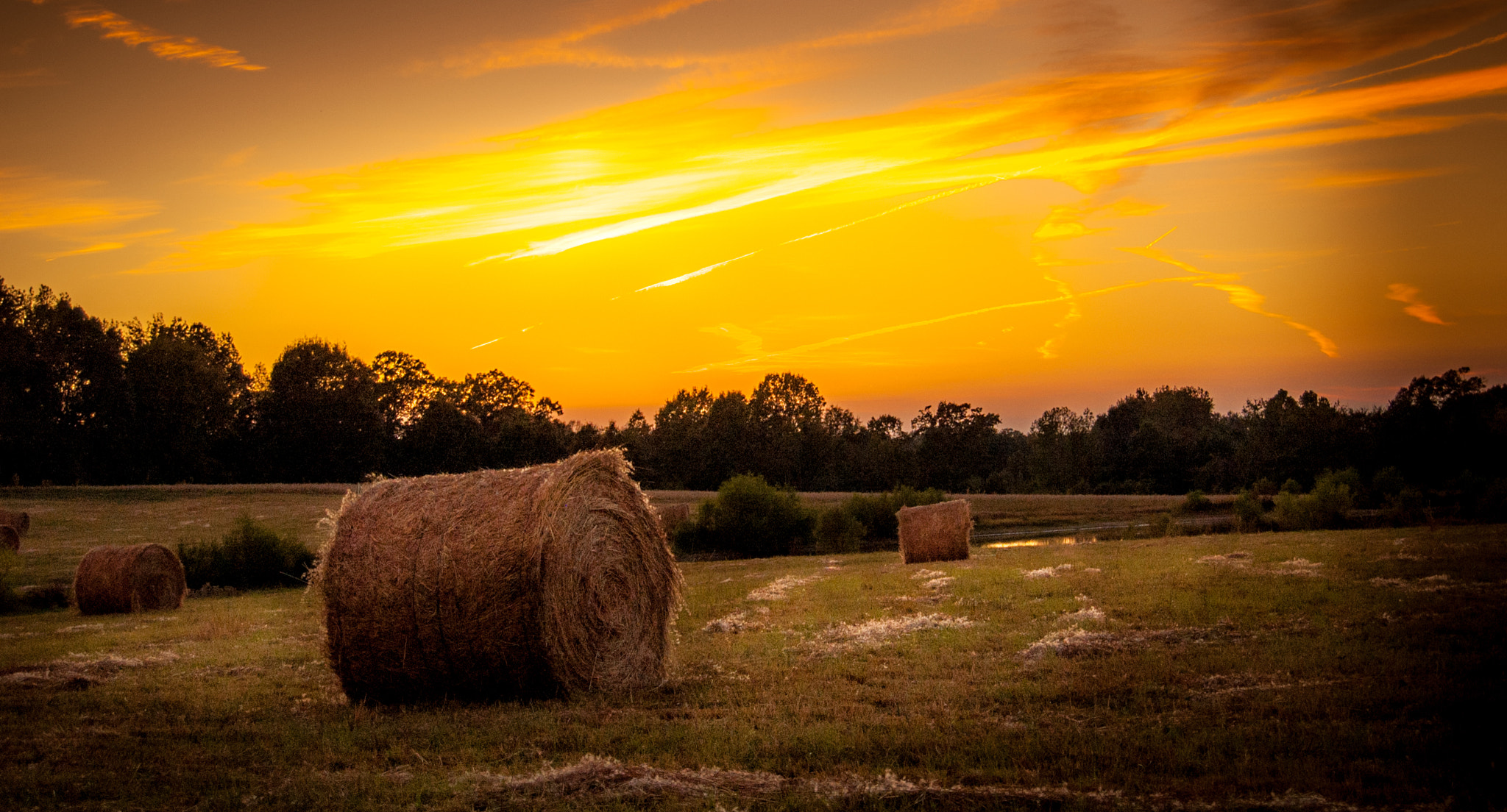 Nikon D70 sample photo. Hay in sunset photography