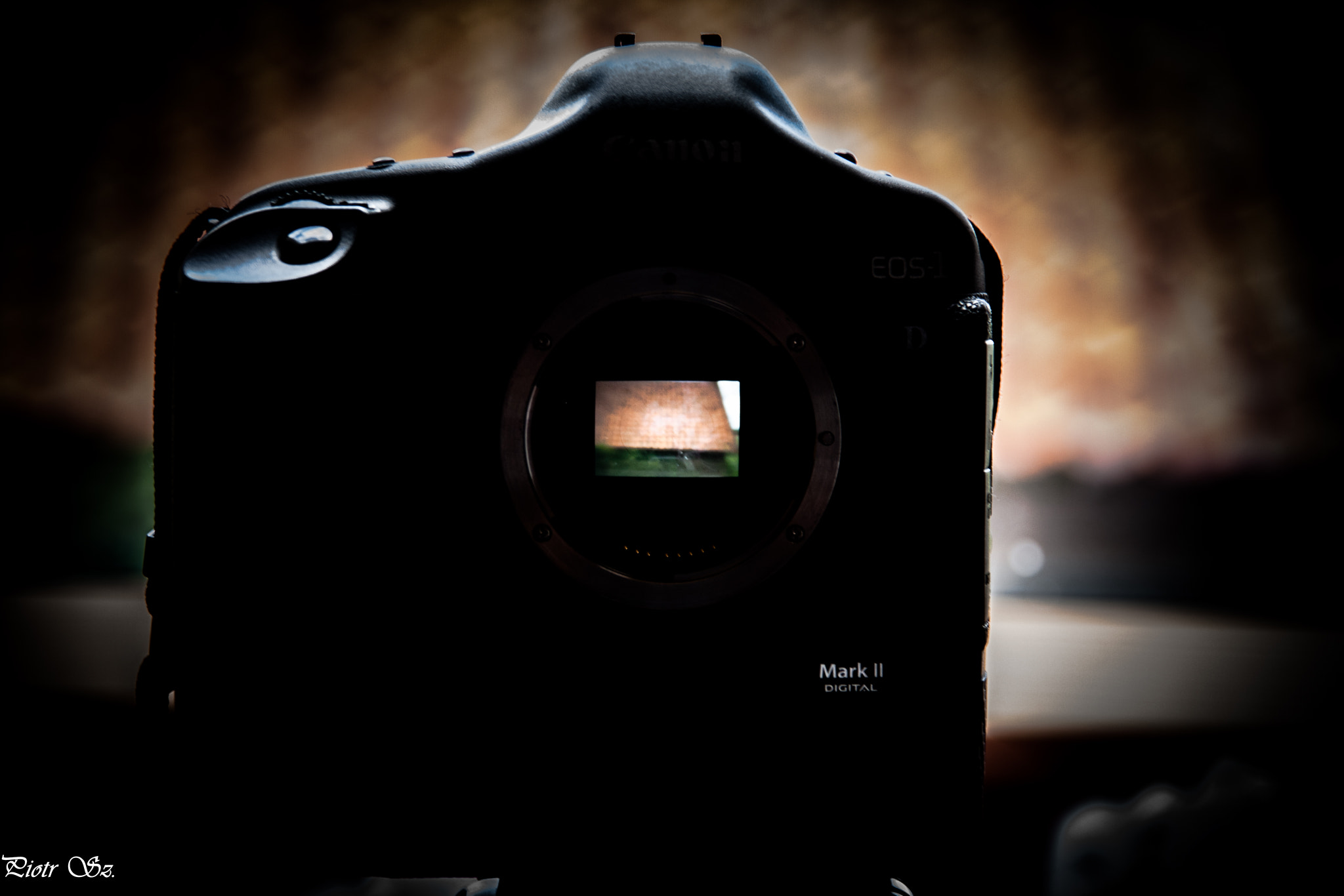 Sigma 18-200mm f/3.5-6.3 DC OS sample photo. :) photography