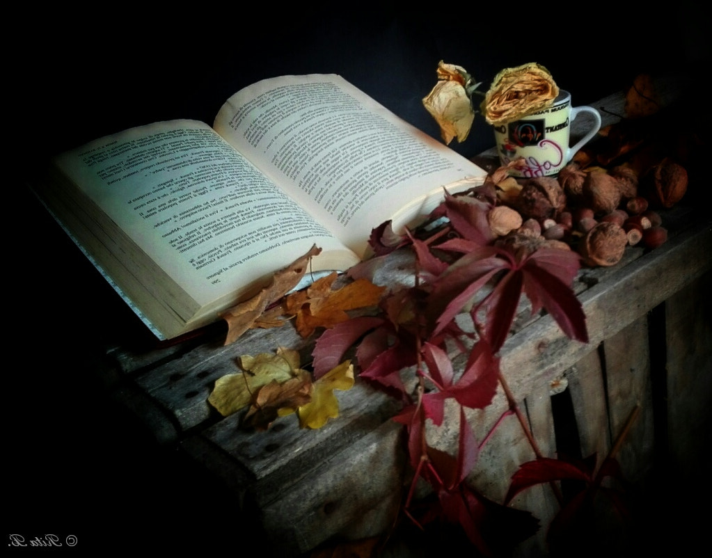 HUAWEI Cherry Mini sample photo. Autumn photography