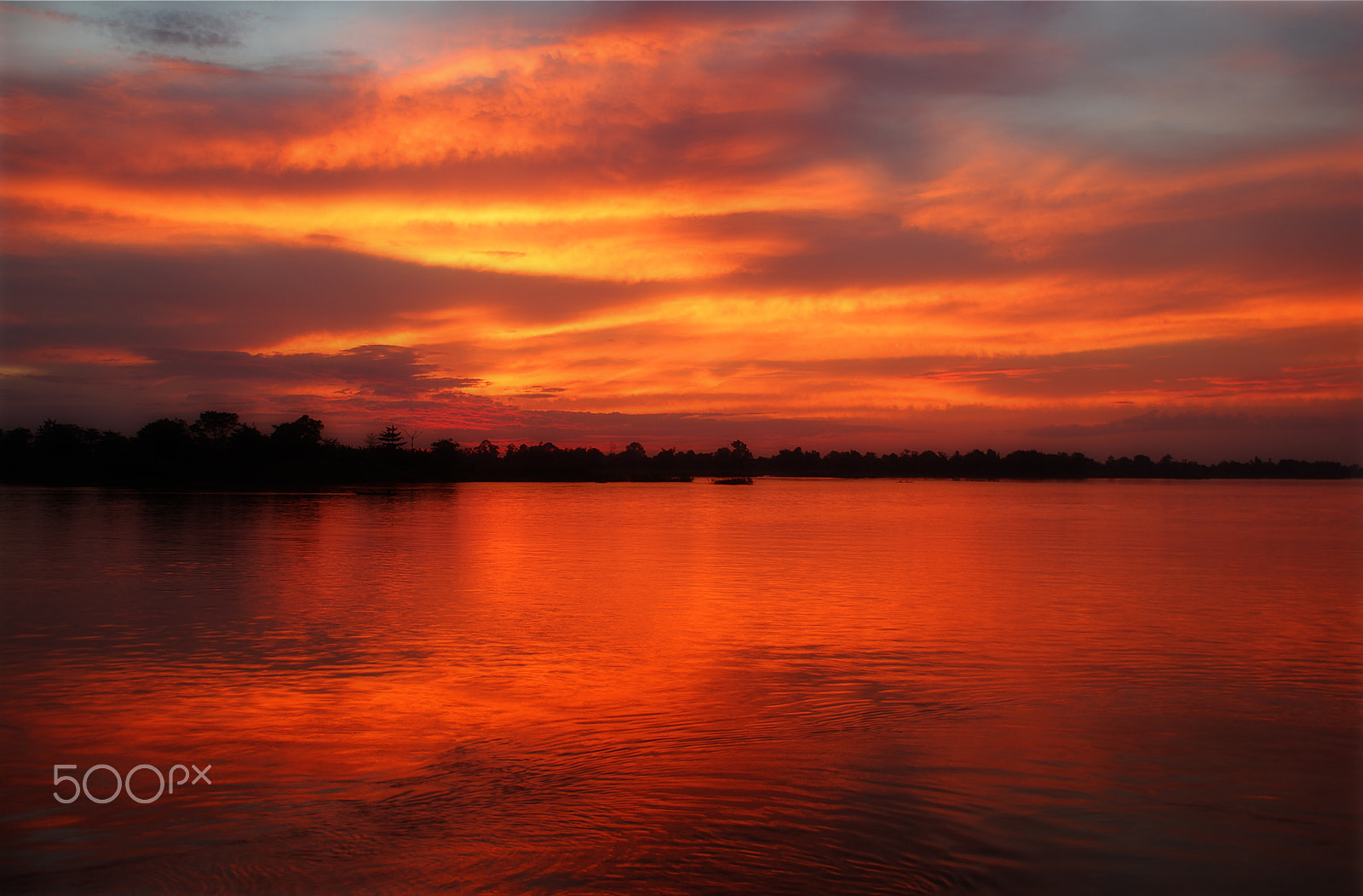 Nikon D40X sample photo. Maximage - p h o t o g r a p h y photography