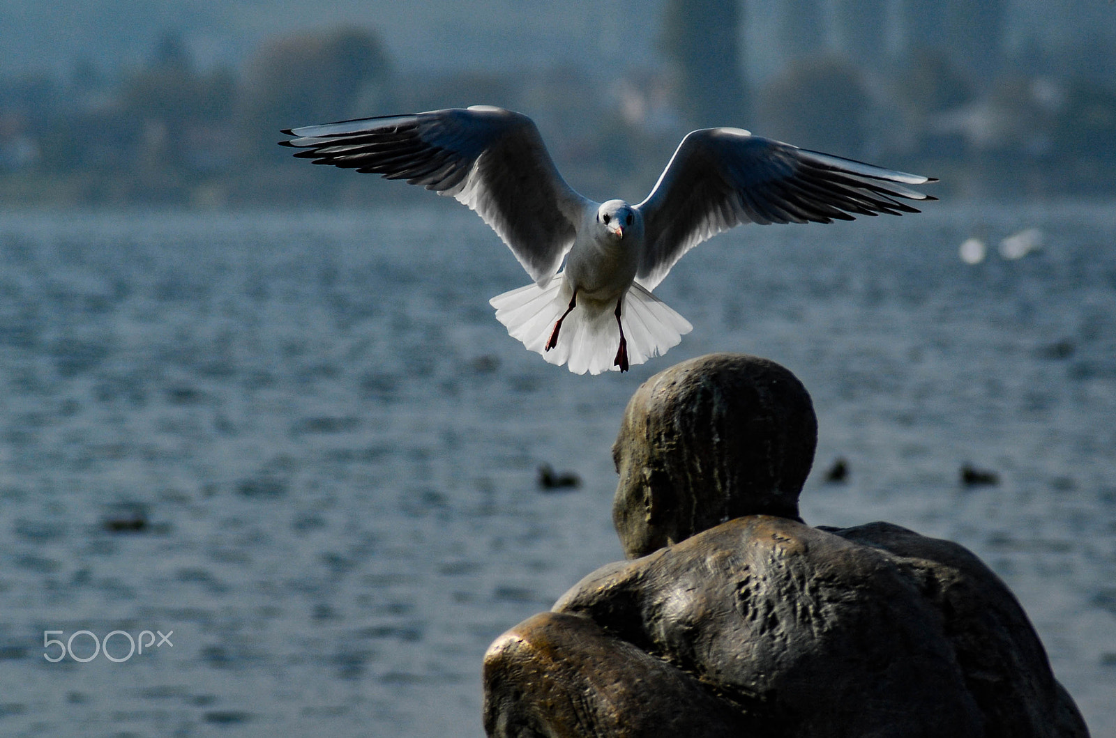 Nikon D200 sample photo. Can i take this seat, please? photography