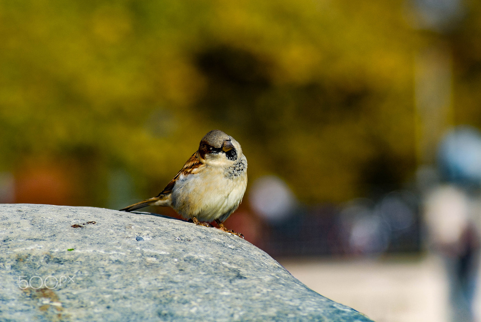 Nikon D200 sample photo. Just thinkin about... photography