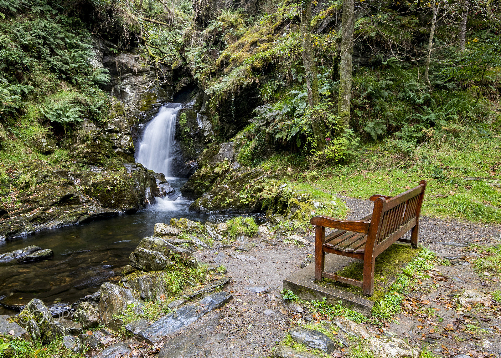 Sigma 10-20mm F4-5.6 EX DC HSM sample photo. Memorial bench photography