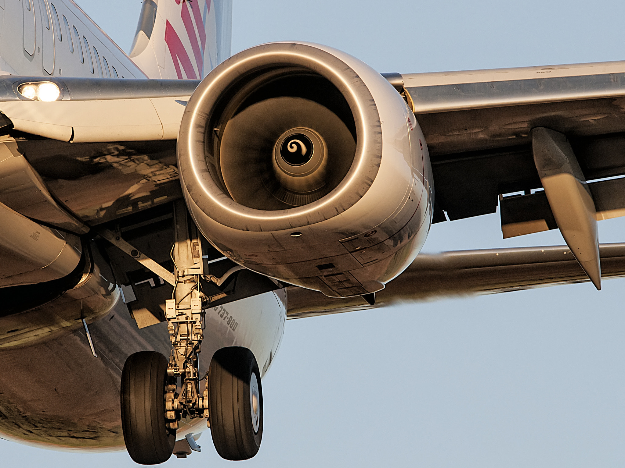Sigma 150-600mm F5-6.3 DG OS HSM | C sample photo. Boeing 737 landing photography