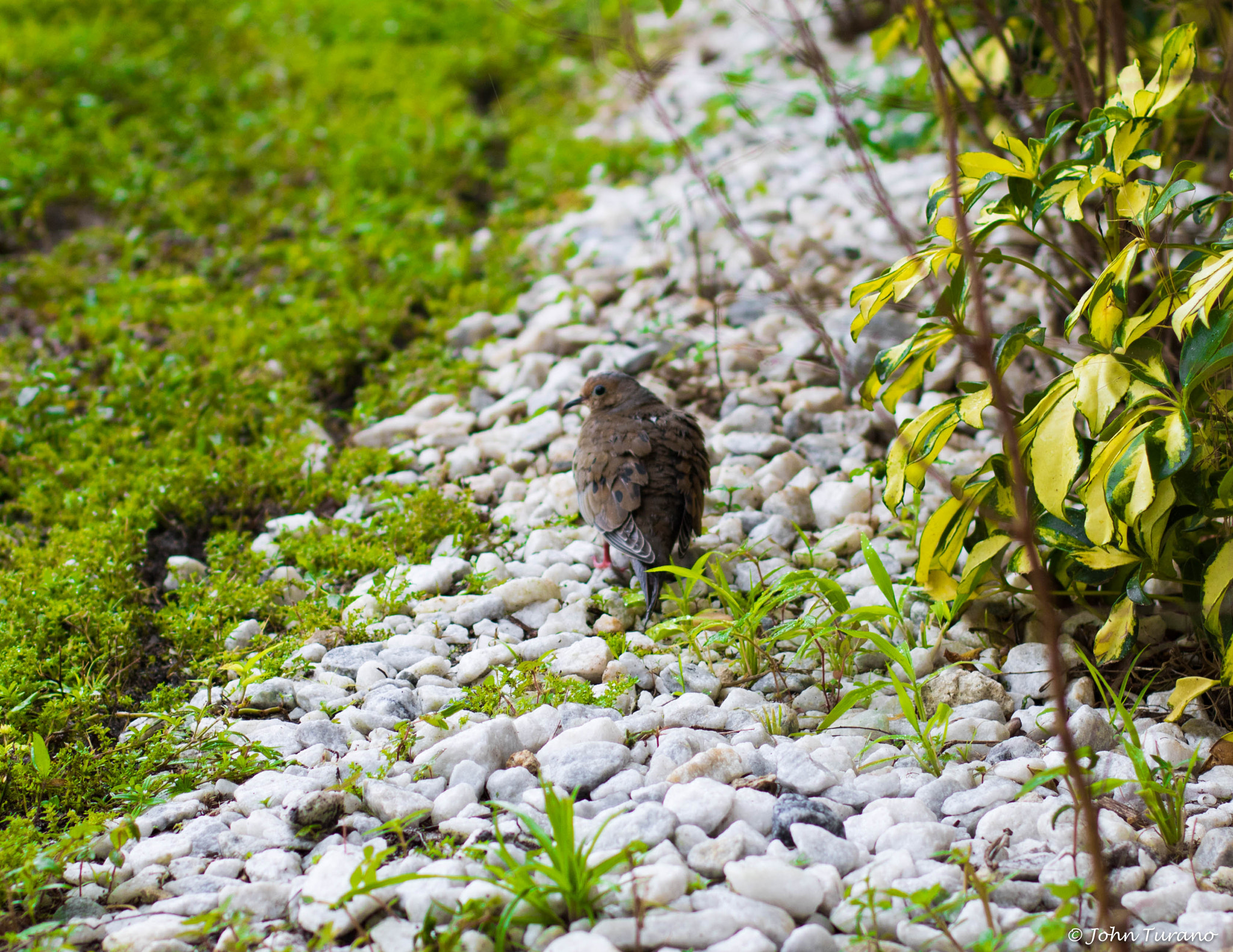 Canon EOS 750D (EOS Rebel T6i / EOS Kiss X8i) sample photo. Shelter from the storm photography