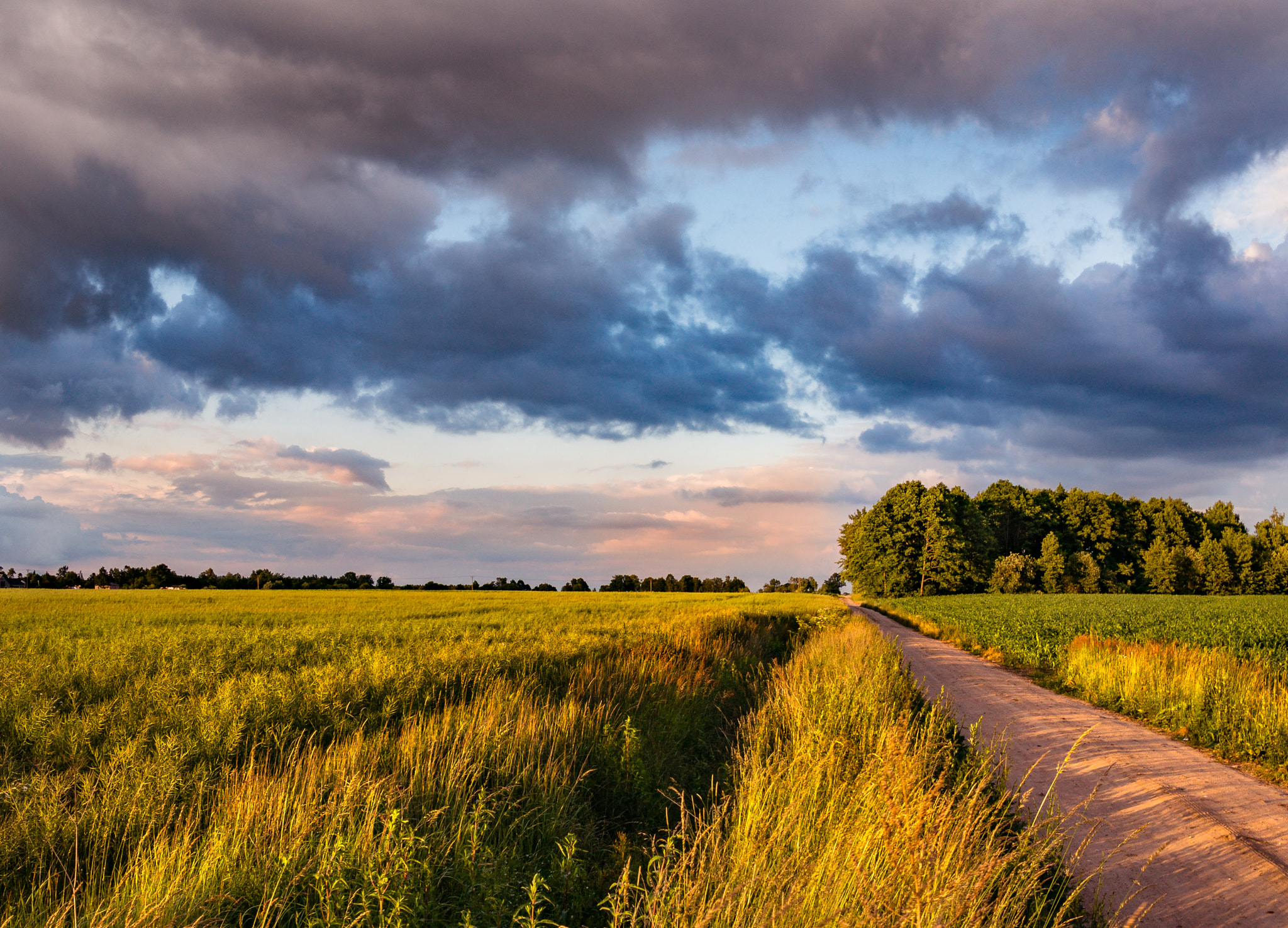 Sony Alpha NEX-6 sample photo. Backroad between the fields photography