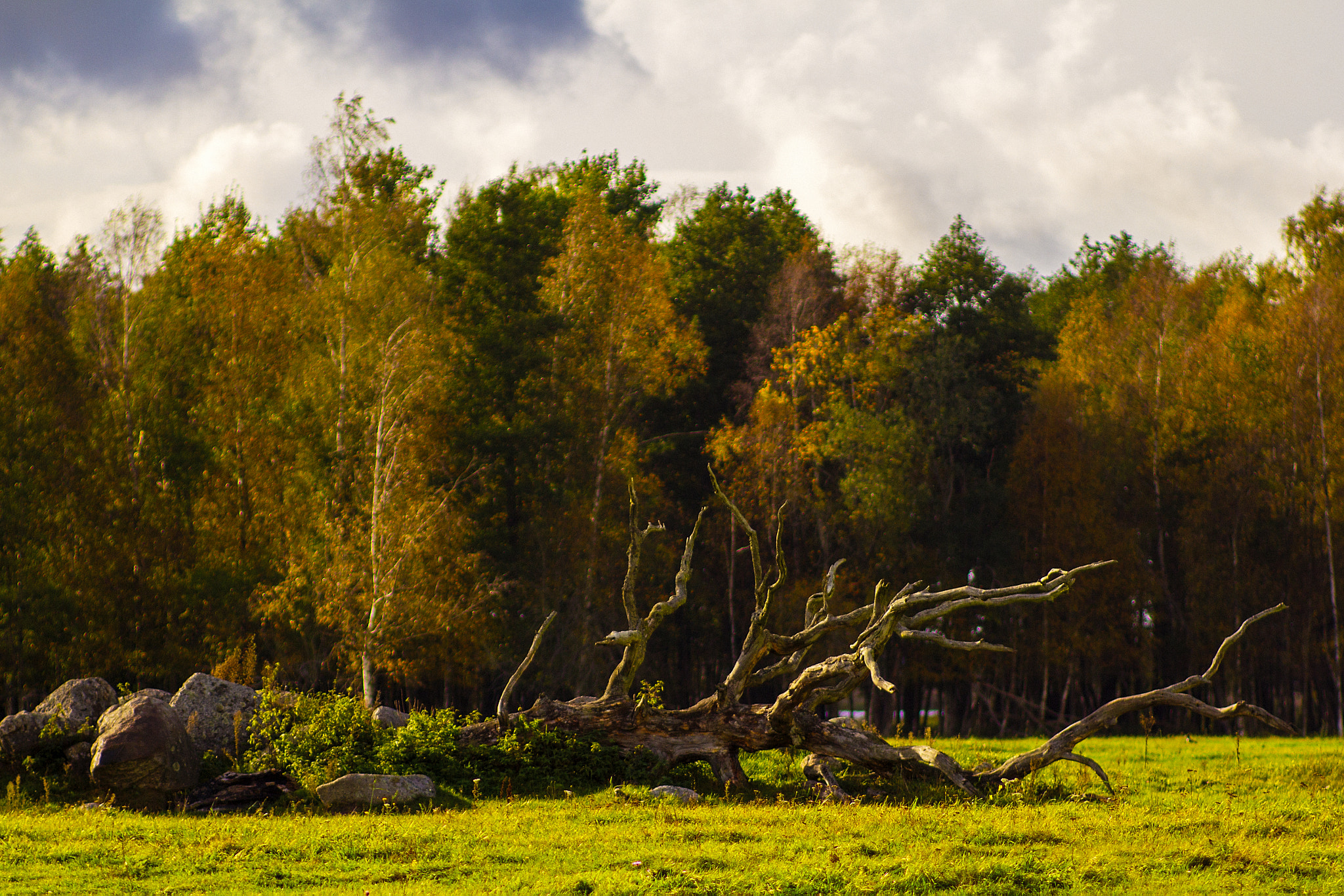 Canon EOS 60D + Canon EF 135mm F2.8 SF sample photo. Autumn photography