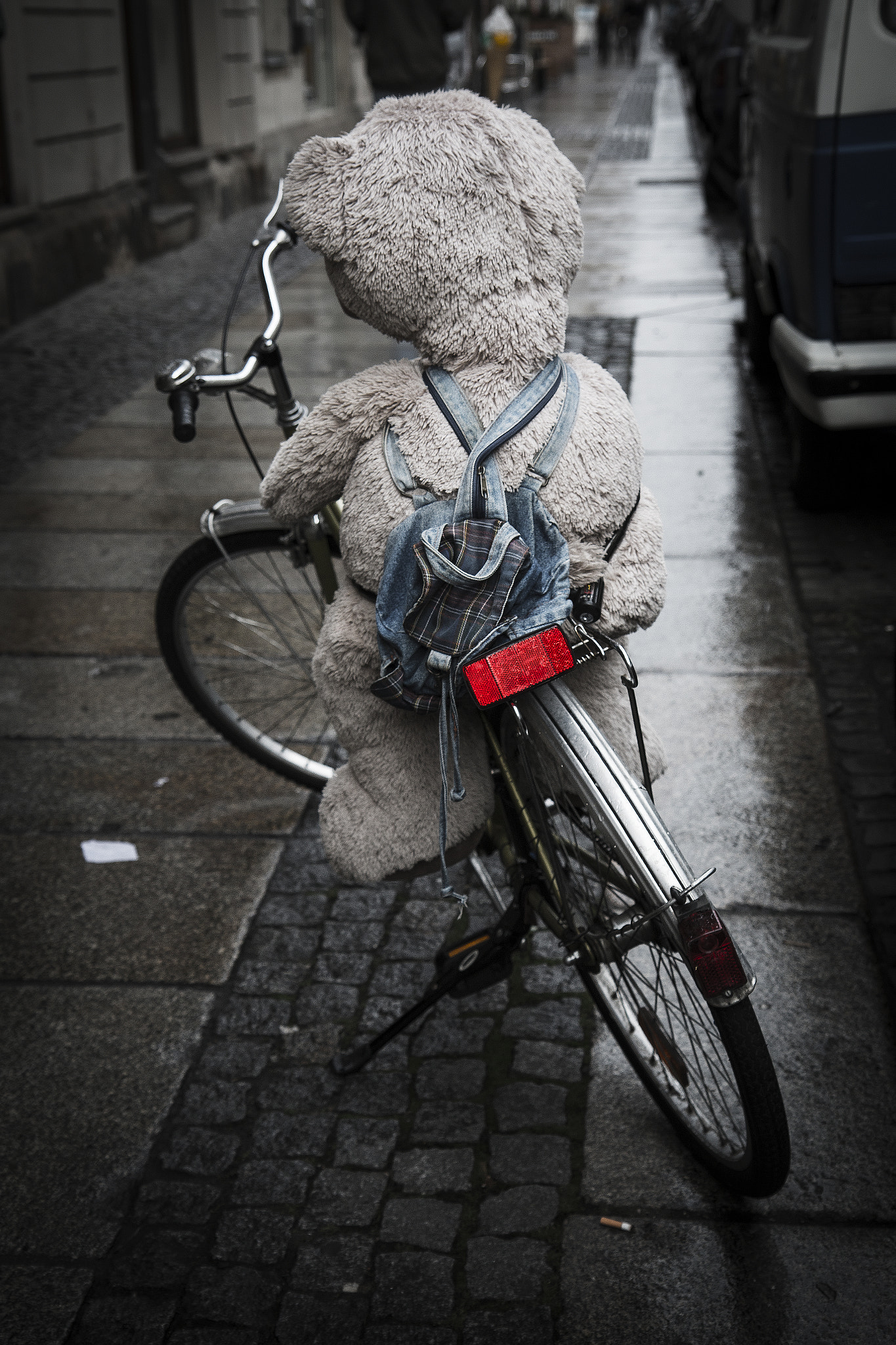 Teddy on the road