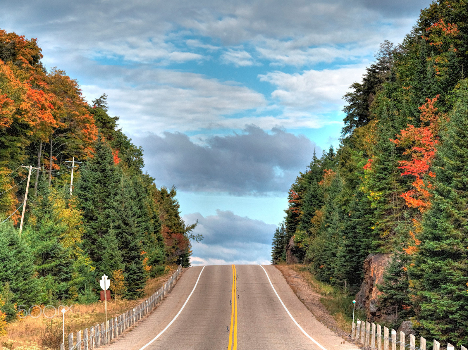 Olympus OM-D E-M5 sample photo. Autumn highway photography