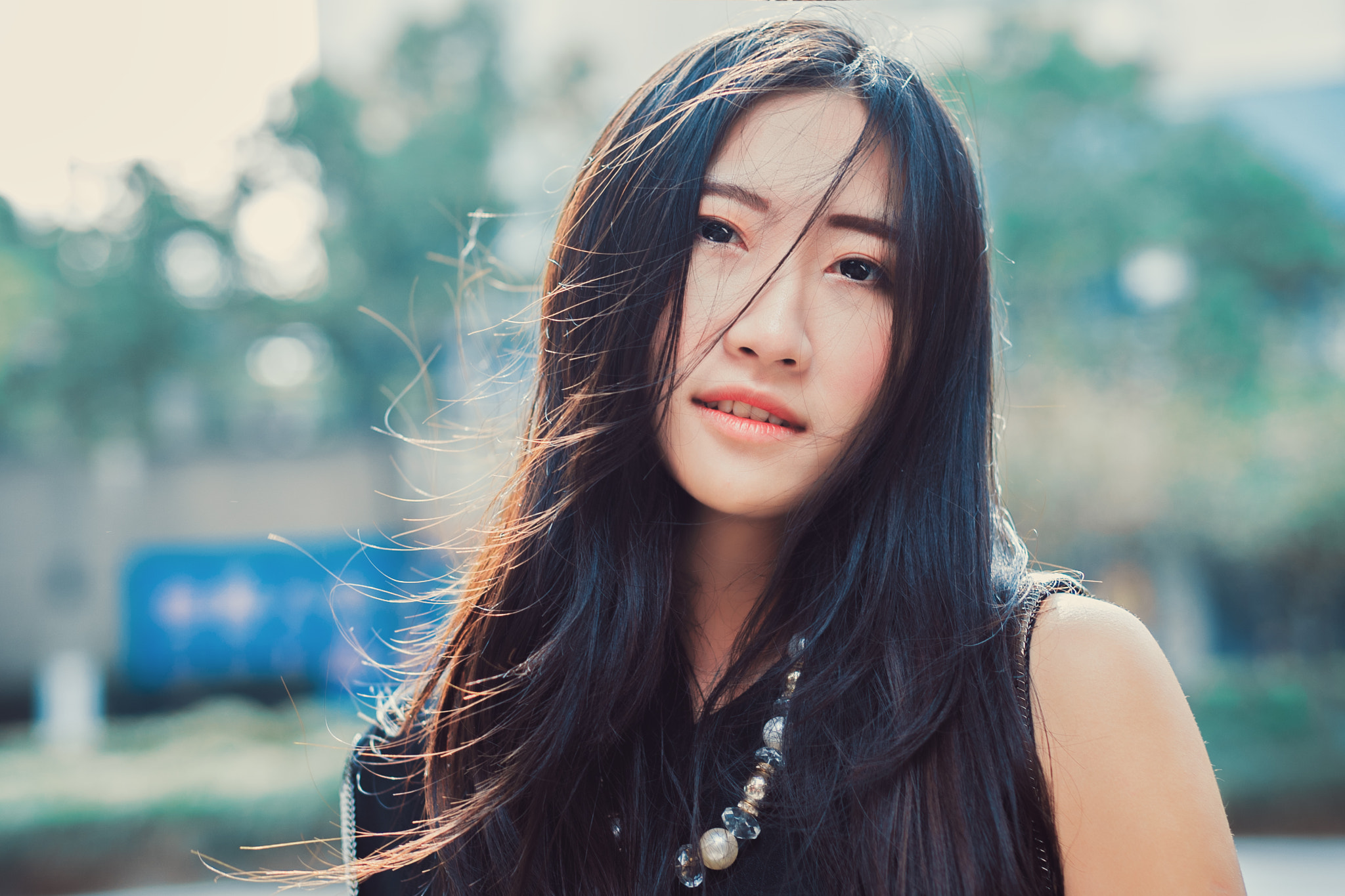 Sony Planar T* 50mm F1.4 ZA SSM sample photo