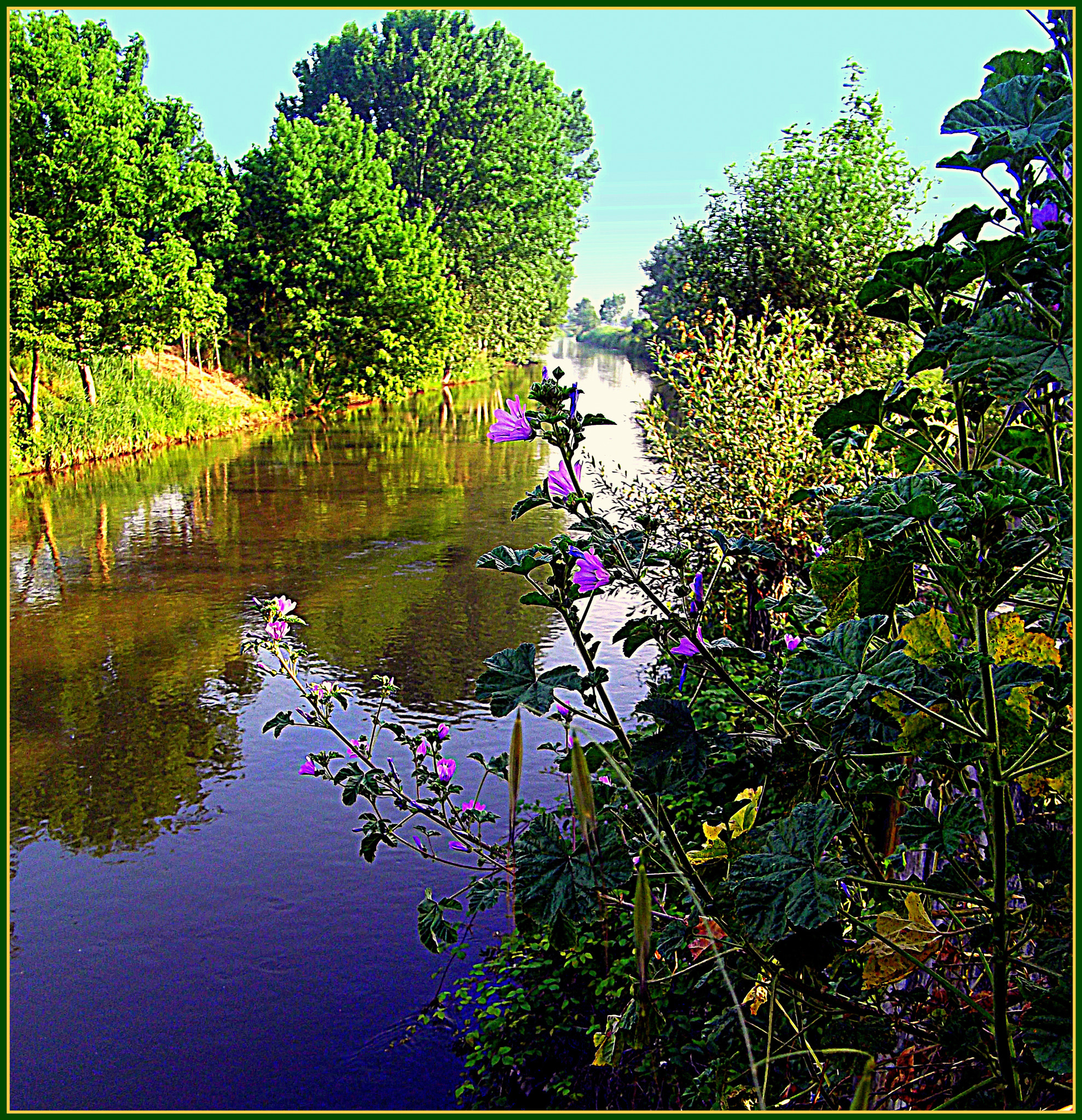 Fujifilm FinePix JX250 sample photo. Il fiume gambara natura meravigliosa photography