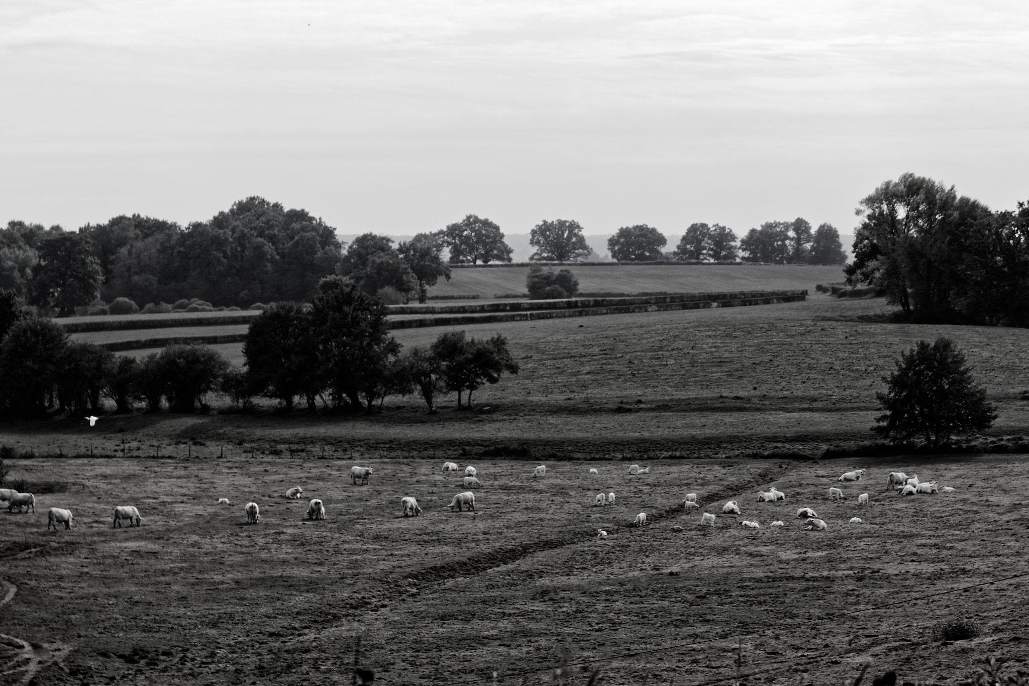 Sigma 17-70mm F2.8-4 DC Macro OS HSM sample photo. Dans la campagne photography