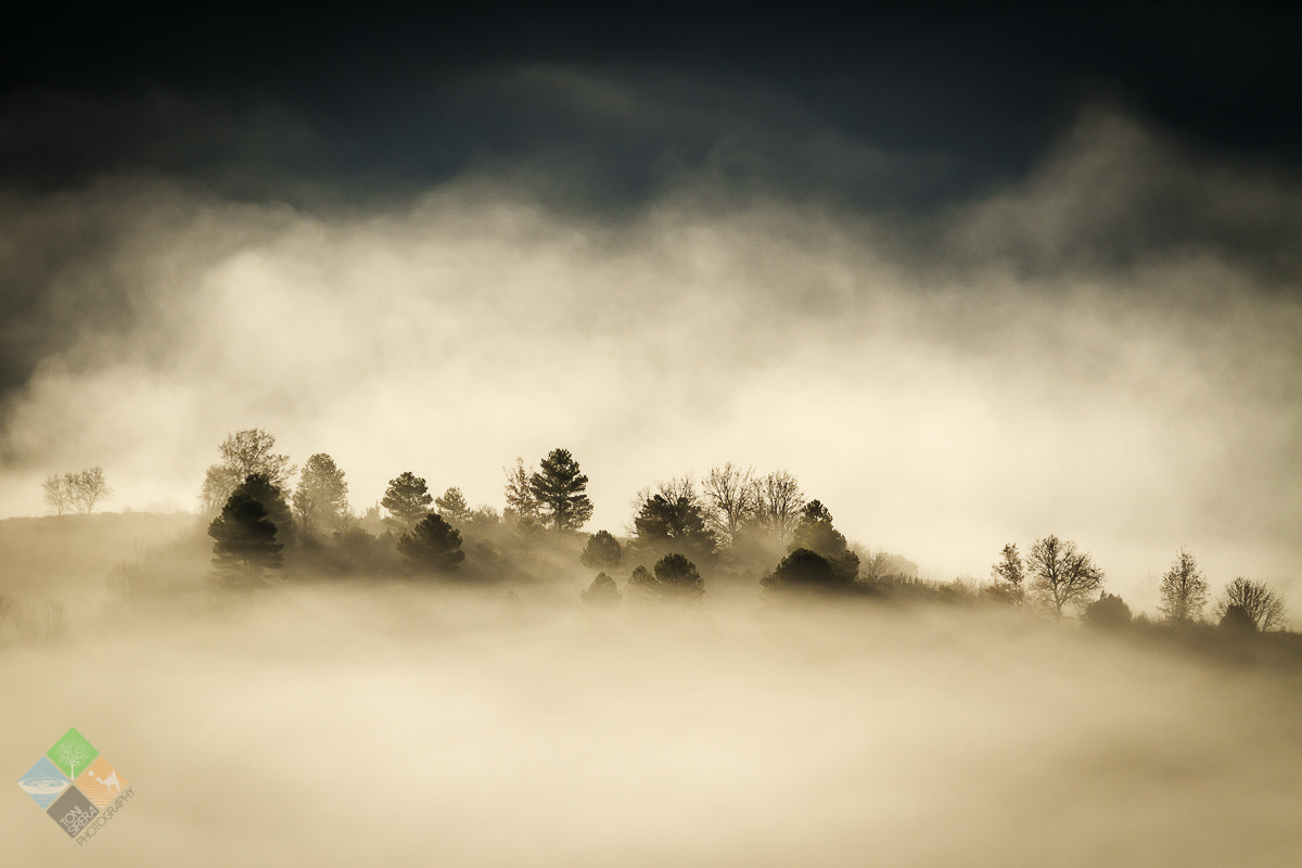 Canon EOS 7D sample photo. Winter foggy day photography