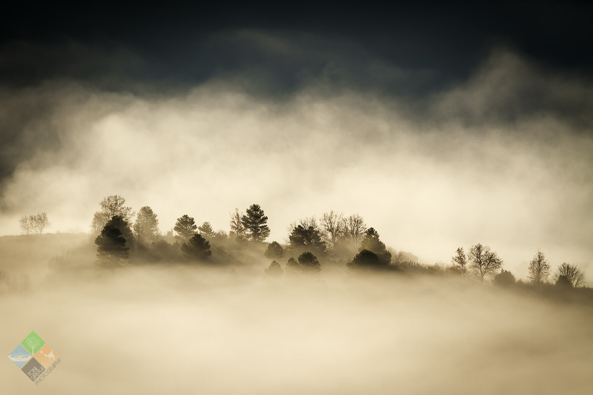 Canon EOS 7D + Canon EF 70-200mm F2.8L USM sample photo. Winter foggy day photography