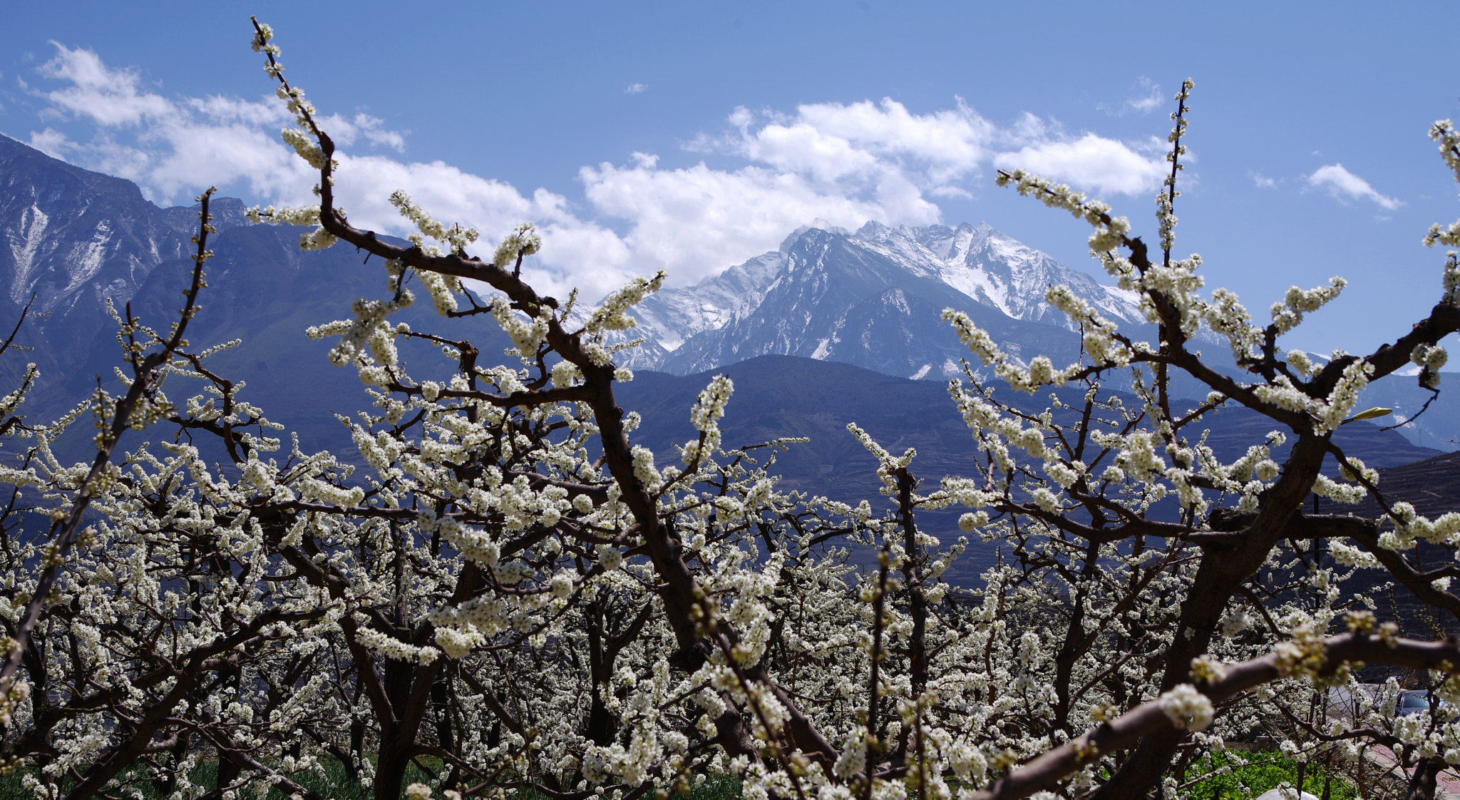 Pentax 645Z sample photo. Looking at snow mountain in the peach garden photography